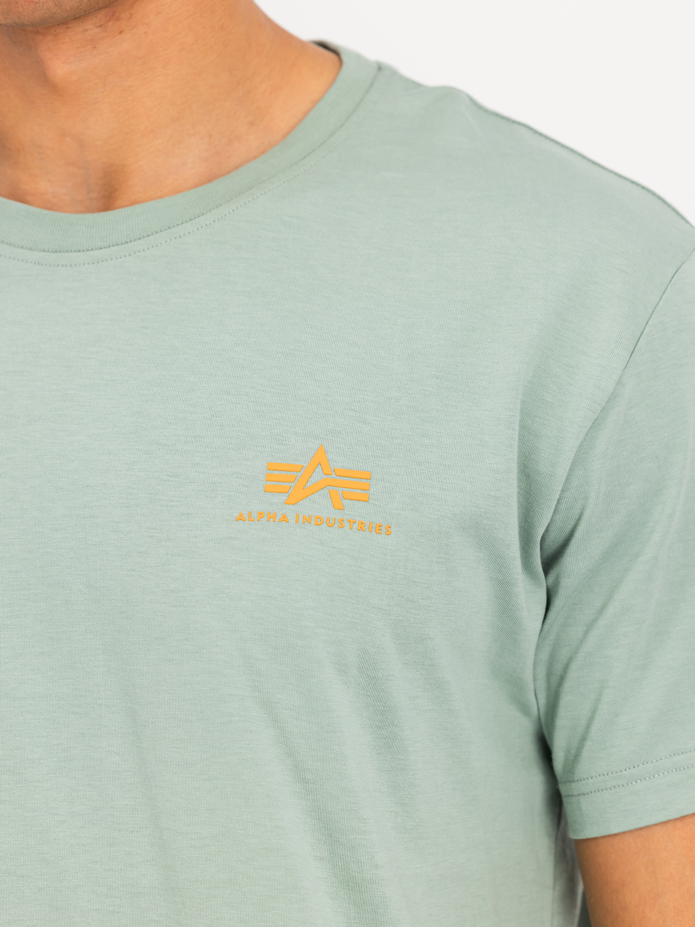 Alpha Industries Rundhalsshirt »Backprint T« Baumwolle, regular fit