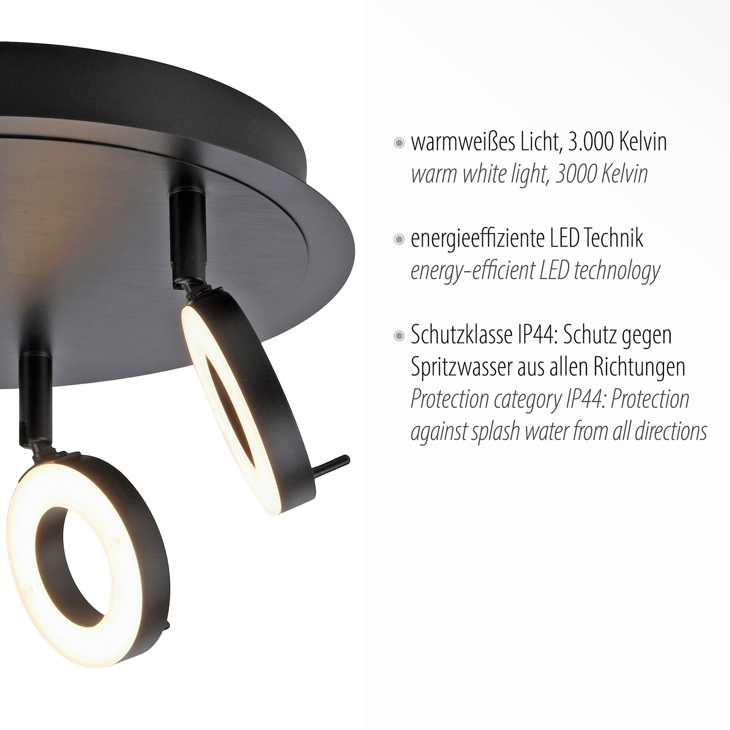 Paul Neuhaus Deckenleuchte »SILEDA«, 3 flammig, Leuchtmittel LED-Board | LED fest integriert, LED, IP44