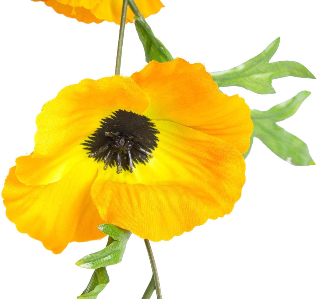 Botanic-Haus Kunstblume kaufen »Mohnblumen Girlande« Rechnung auf