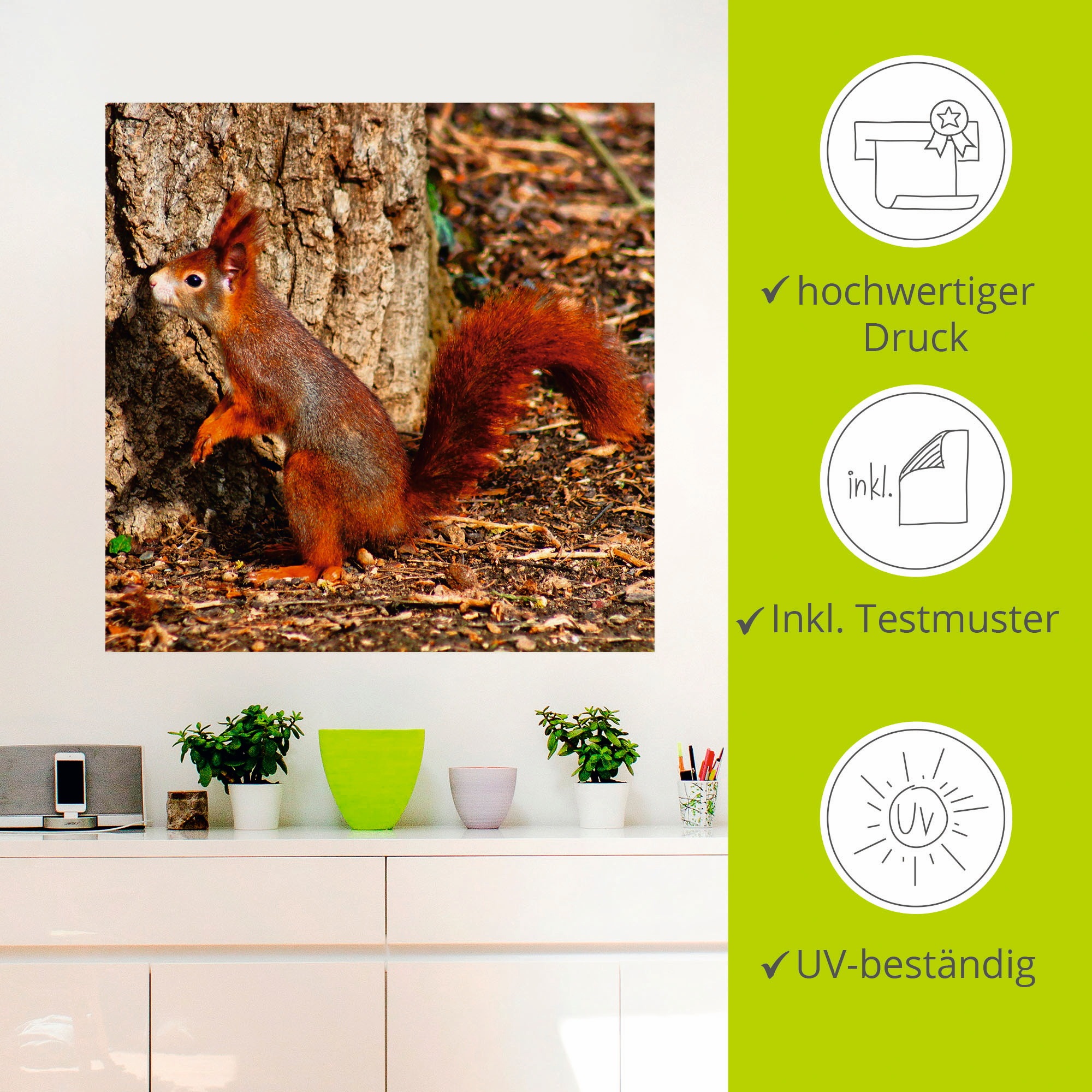 Artland Wandbild »Rotes Eichhörnchen will hoch hinaus«, Wildtiere, (1 St.), als Poster, Wandaufkleber in verschied. Größen