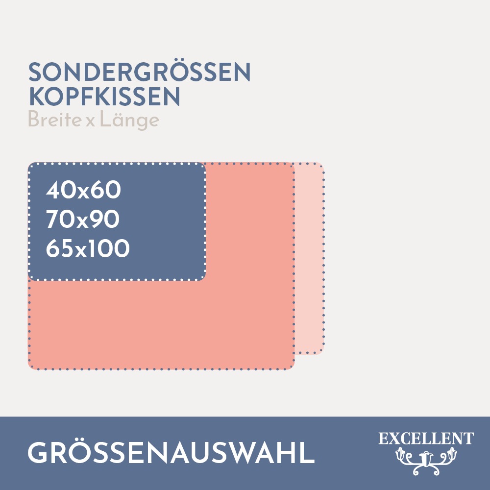 Excellent Federkissen »Davos«, Füllung: 85% Gänsefedern, 15% Gänsedaunen, (1 St.), Kopfkissen in 40x80 und 80x80