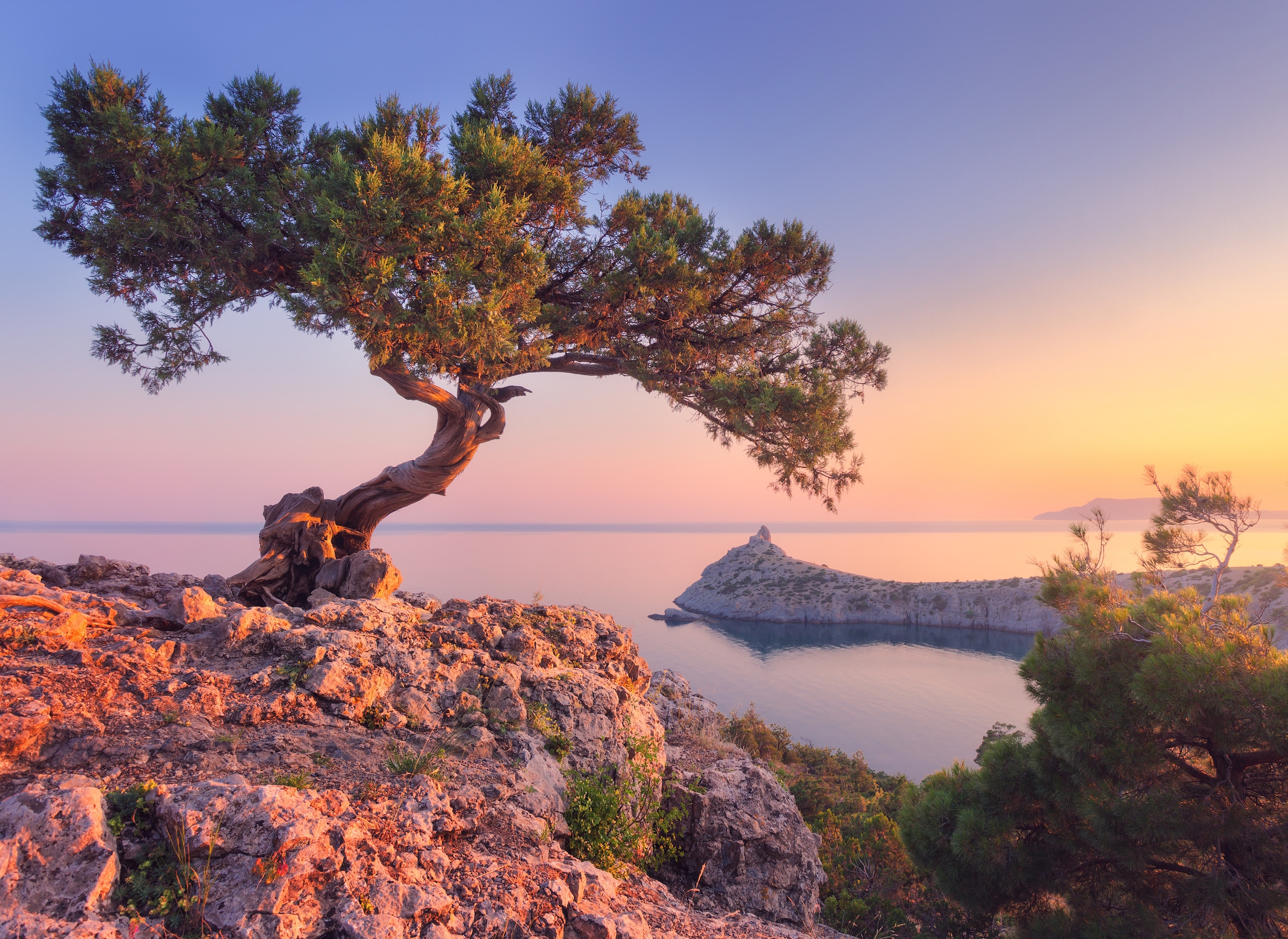 Papermoon Fototapete »Wooden Jetty Maldives« glatt