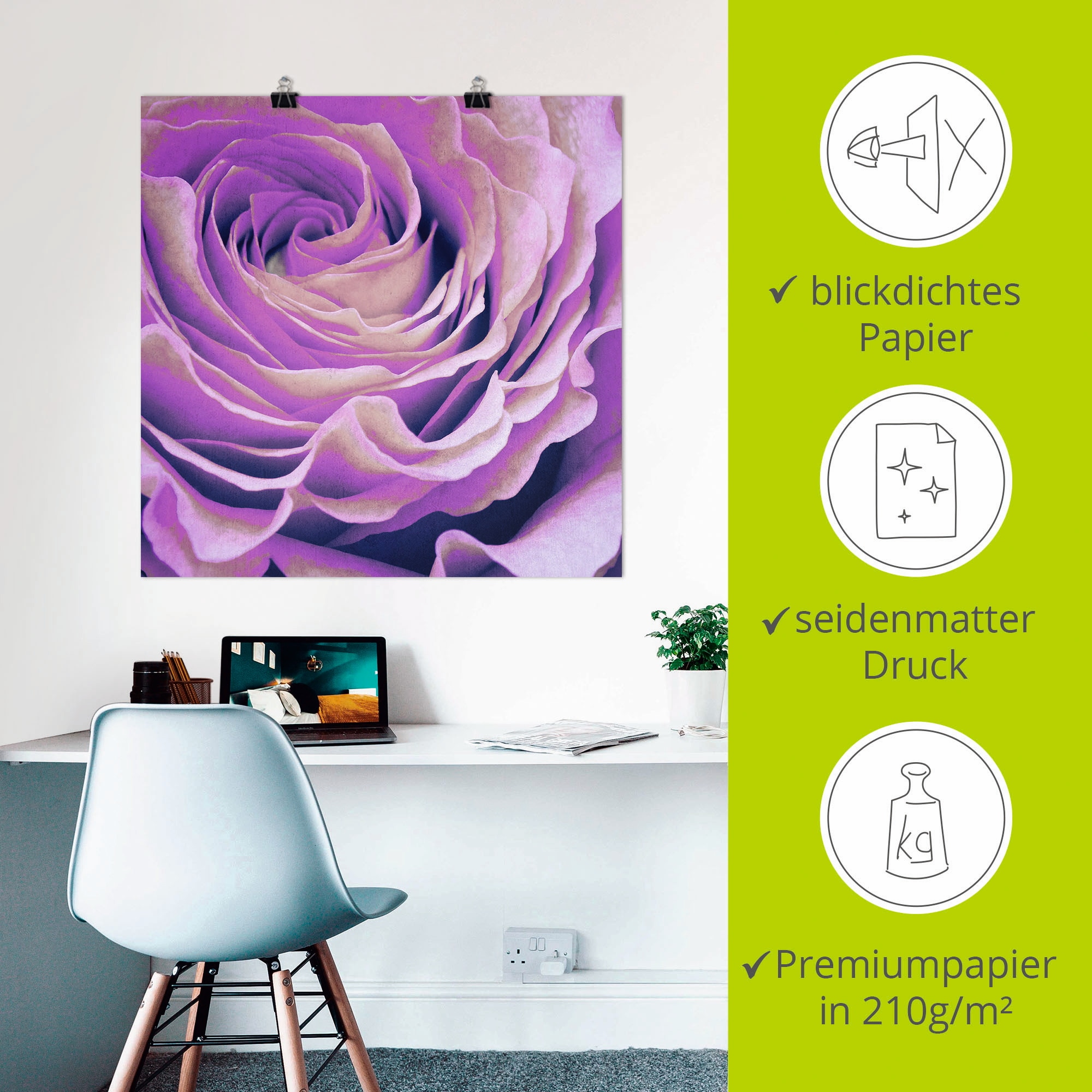 Artland Wandbild »Lila Rose« Blumen 1 Stk. tlg. ohne Rahmen