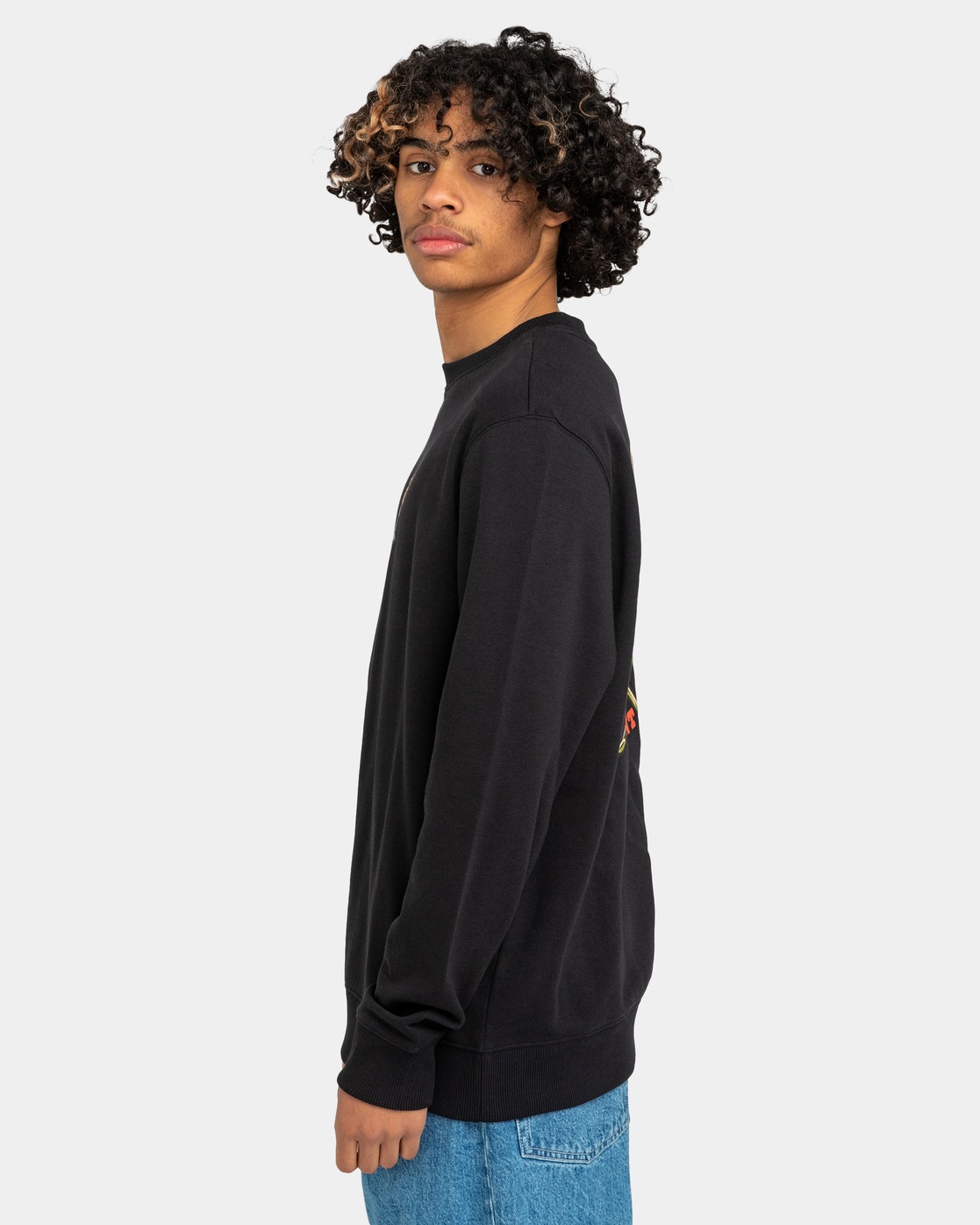 Element Sweatshirt »Teddy«