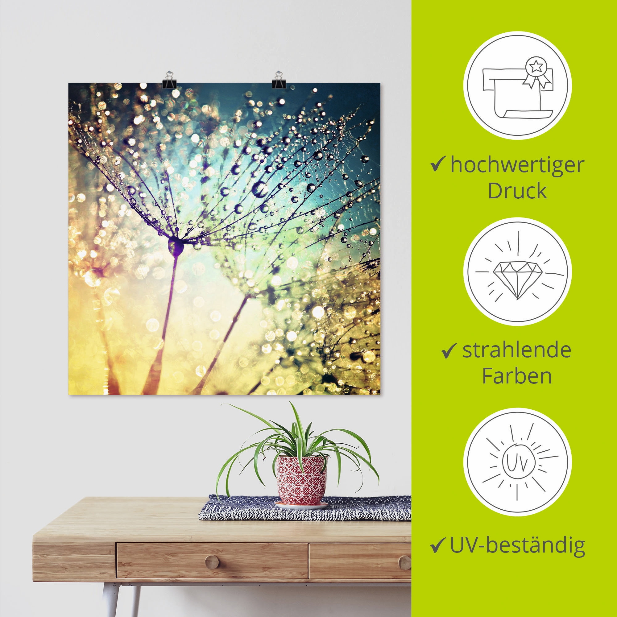 Artland Wandbild »Pusteblume Zaubertropfen« 1 Stk. tlg. als Alubild, Outdoorbild, Leinwandbild, Poster, Wandaufkleber
