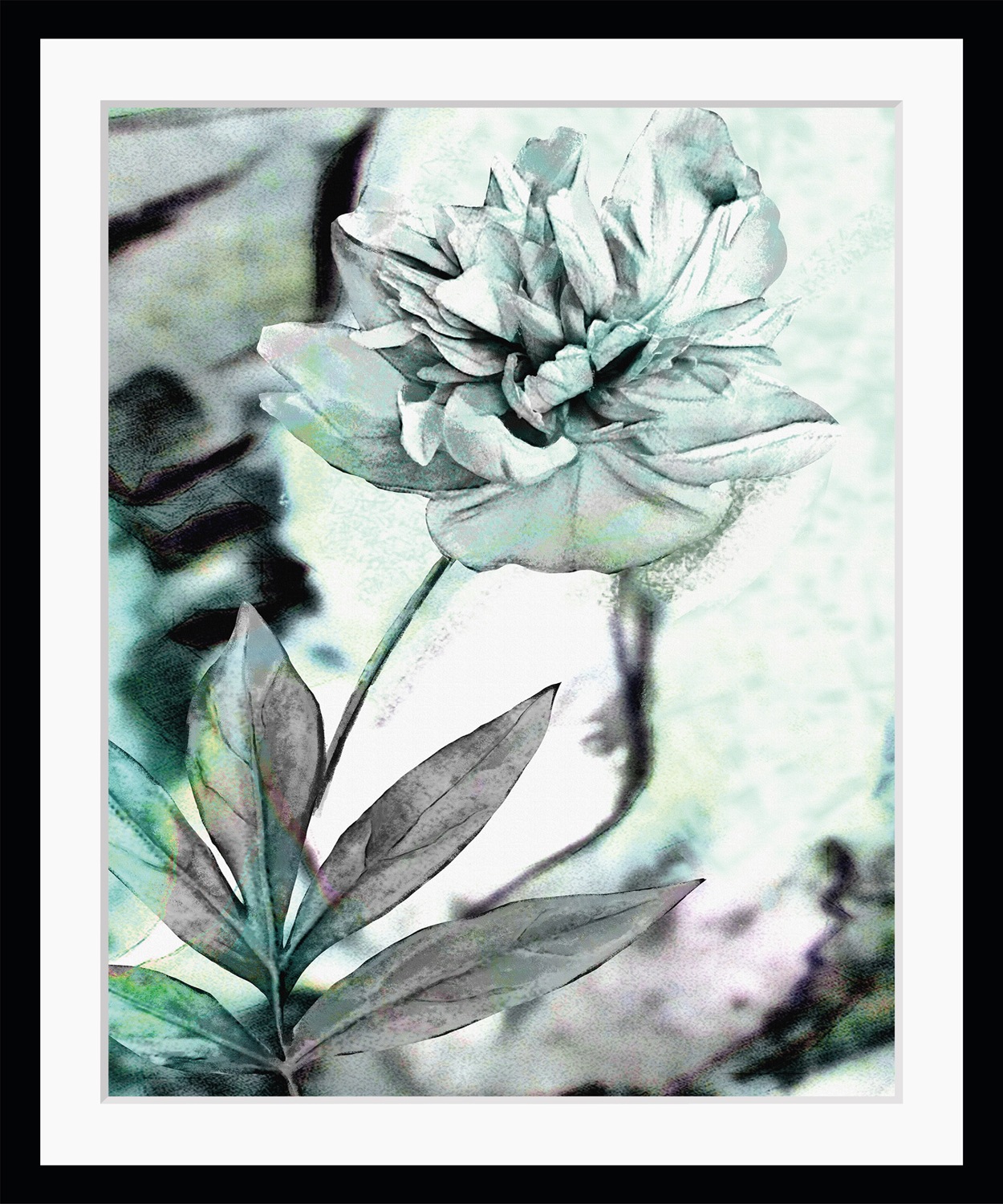 queence Bild »Christa«, Blumen, Rose, gerahmt
