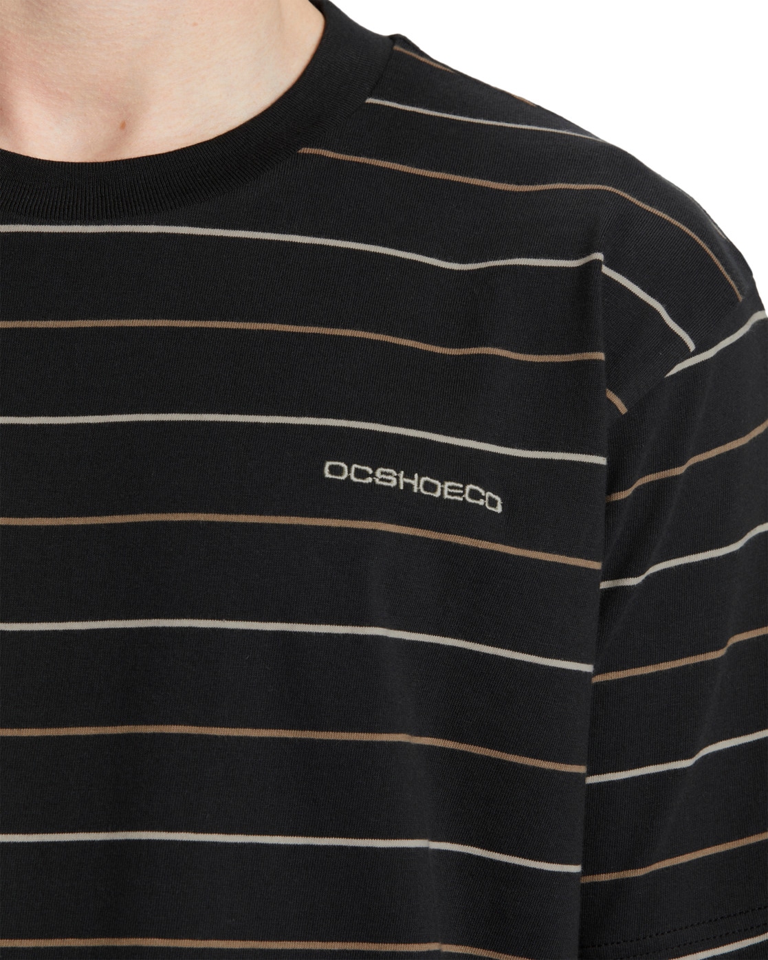 DC Shoes T-Shirt »Lowstate Stripe«