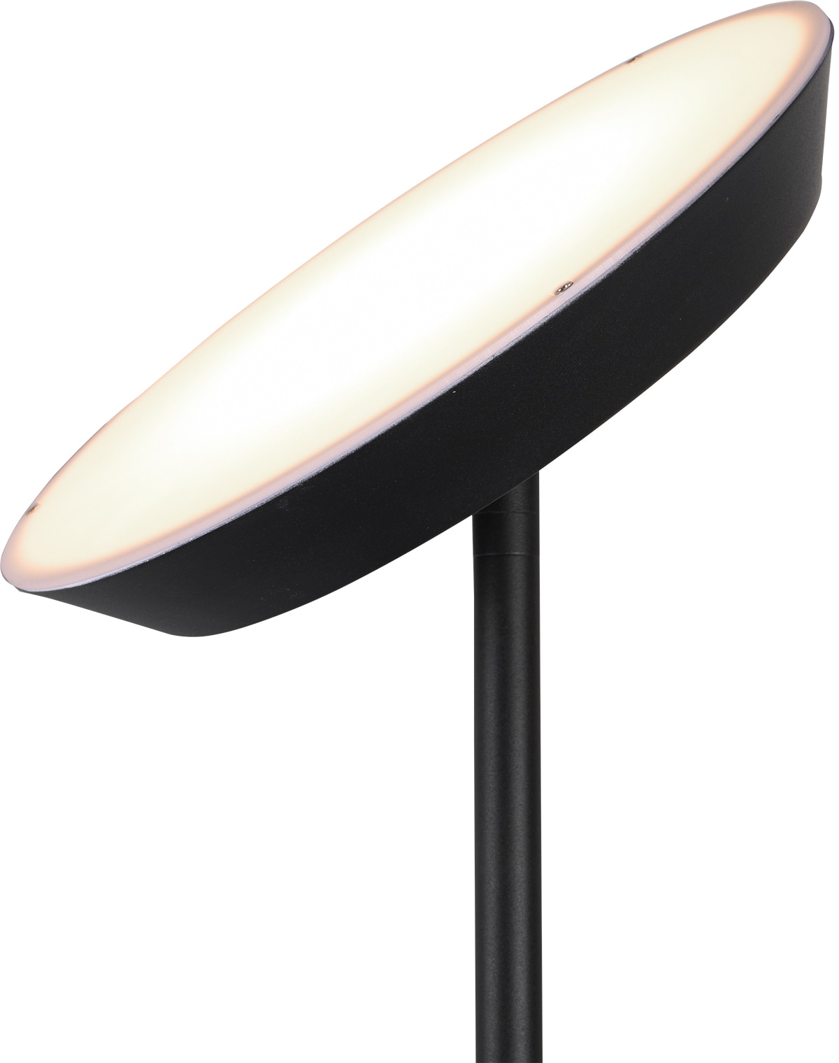 TRIO Leuchten kaufen Stehlampe online flammig-flammig »Haora«, 1 mit 3 LED XXL Jahren Garantie 