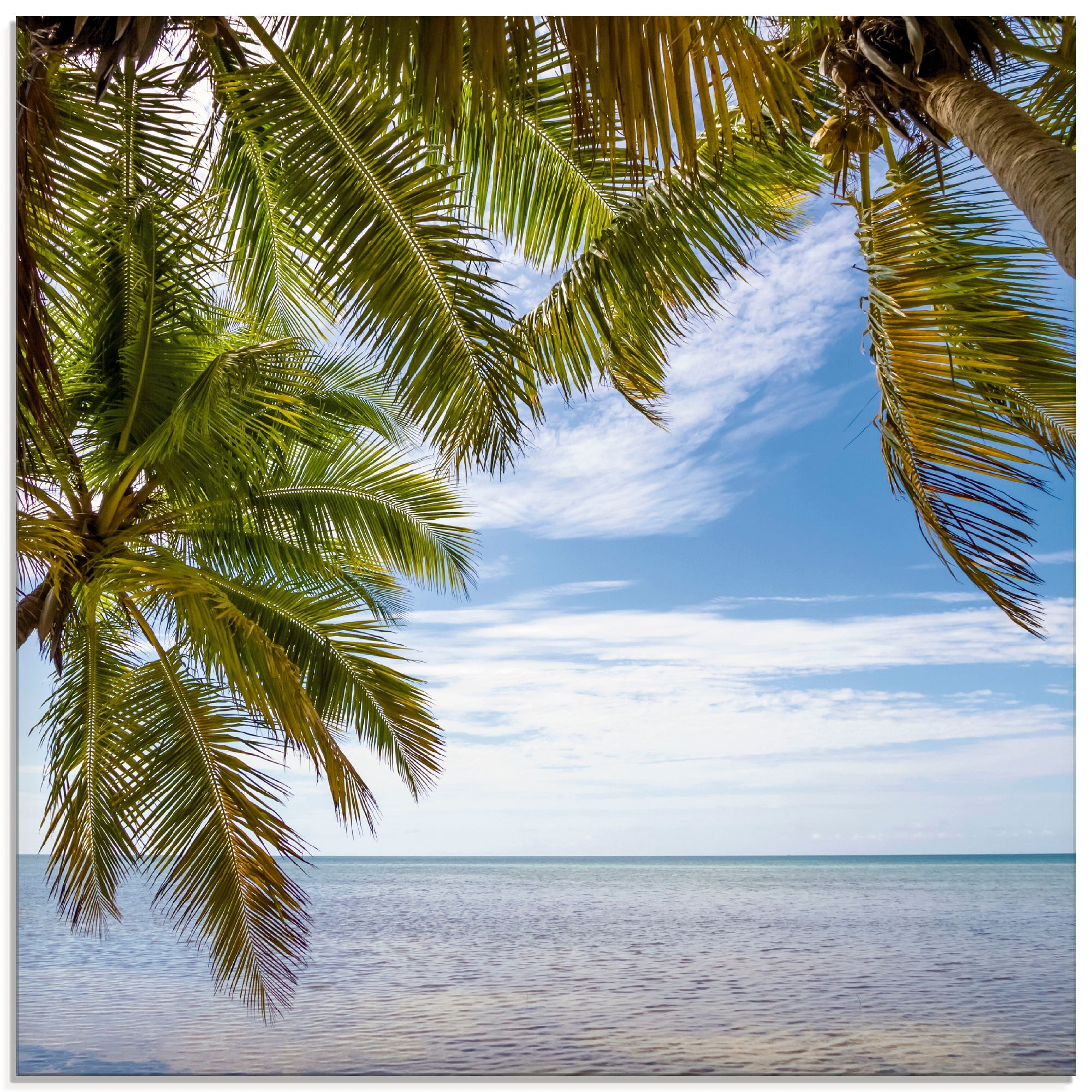 Glasbild »Florida Keys Das Meer«, Bäume, (1 St.), in verschiedenen Größen