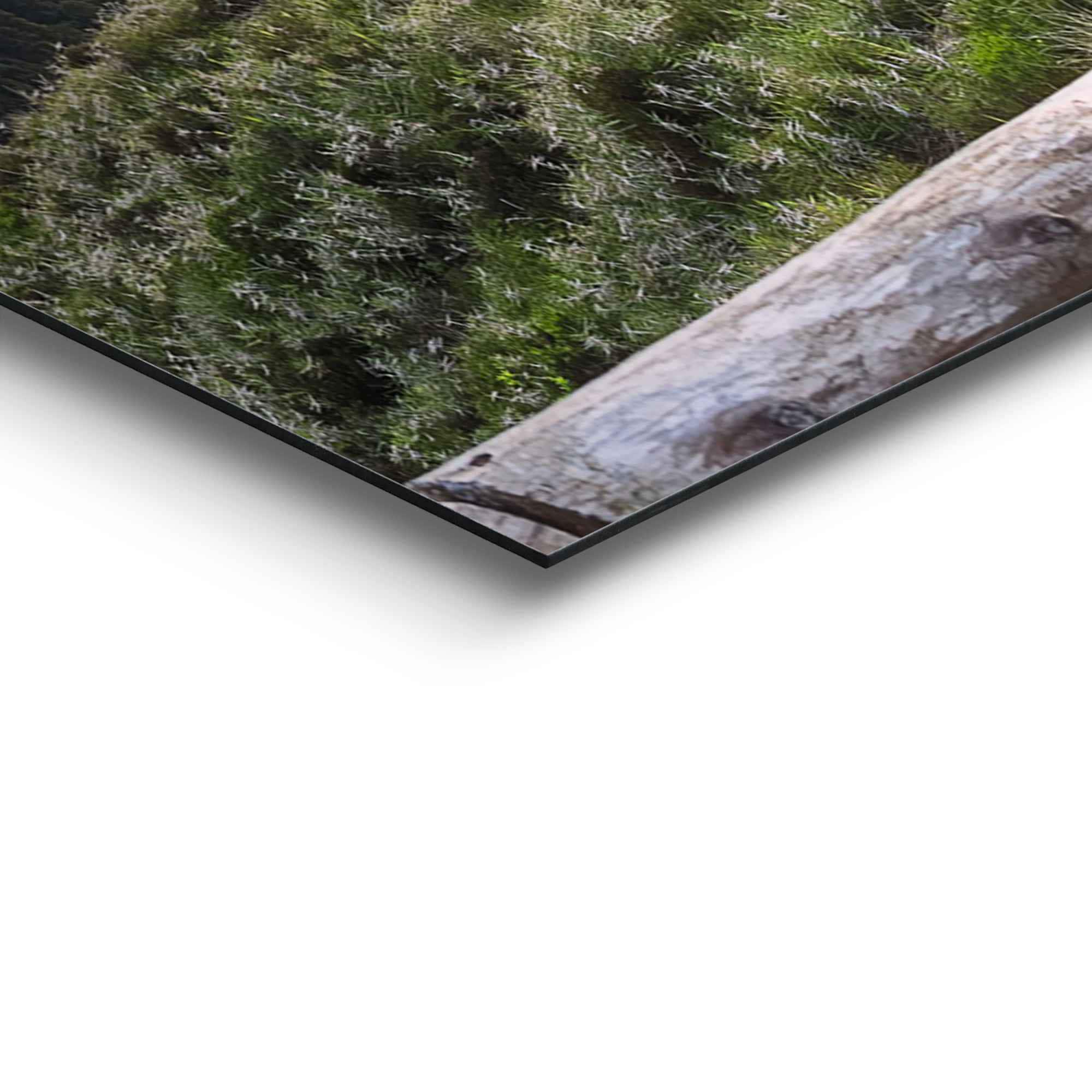 Reinders! Wandbild »Morgenröte Berge - Sonnenaufgang - Natur«, (1 St.) auf  Rechnung kaufen
