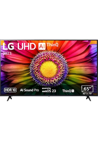 LED-Fernseher »65UR80006LJ«, 164 cm/65 Zoll, 4K Ultra HD, Smart-TV