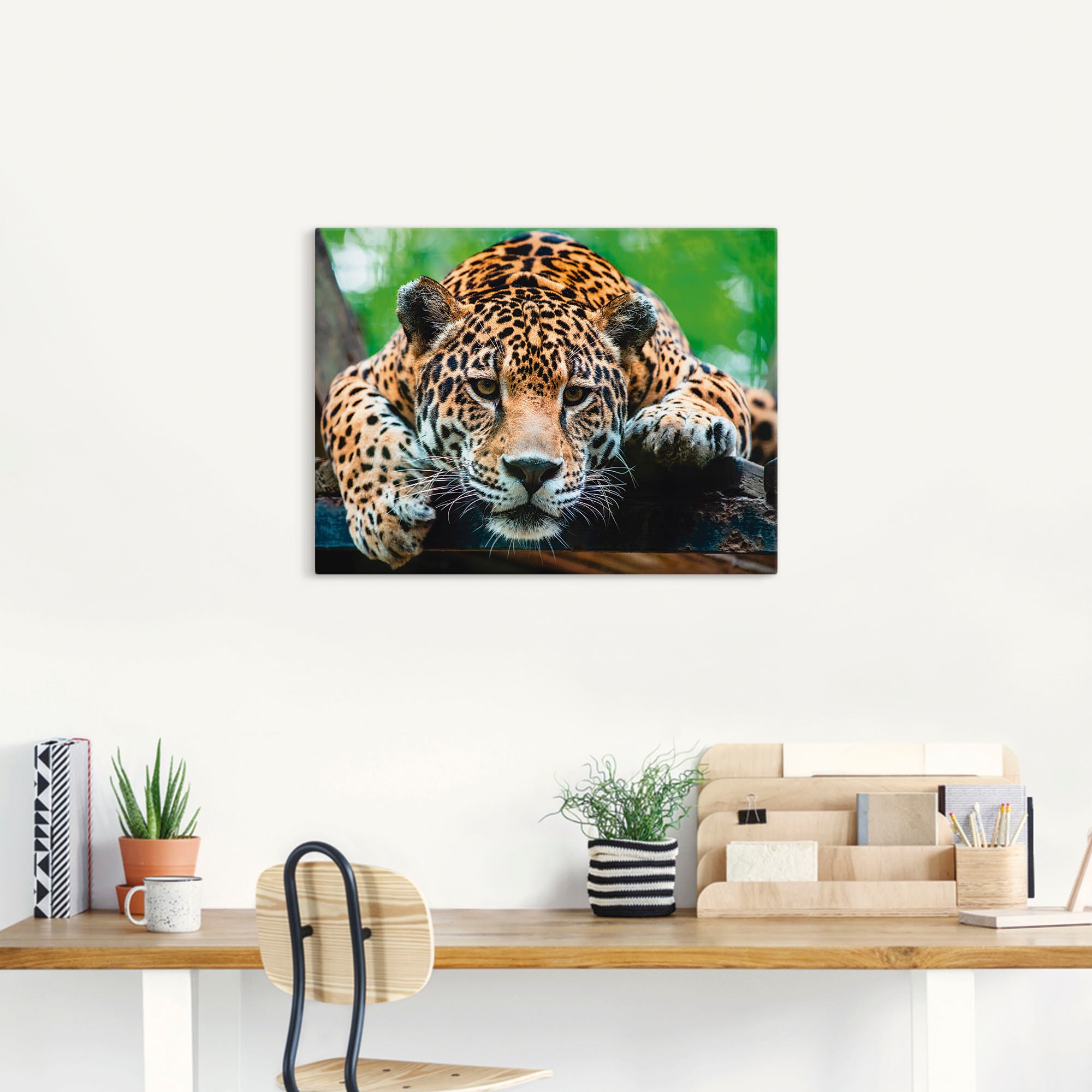 Artland Wandbild »Südamerikanischer Jaguar« Wildtiere 1 Stk. tlg. als Alubild, Outdoorbild, Leinwandbild, Poster, Wandaufkleber