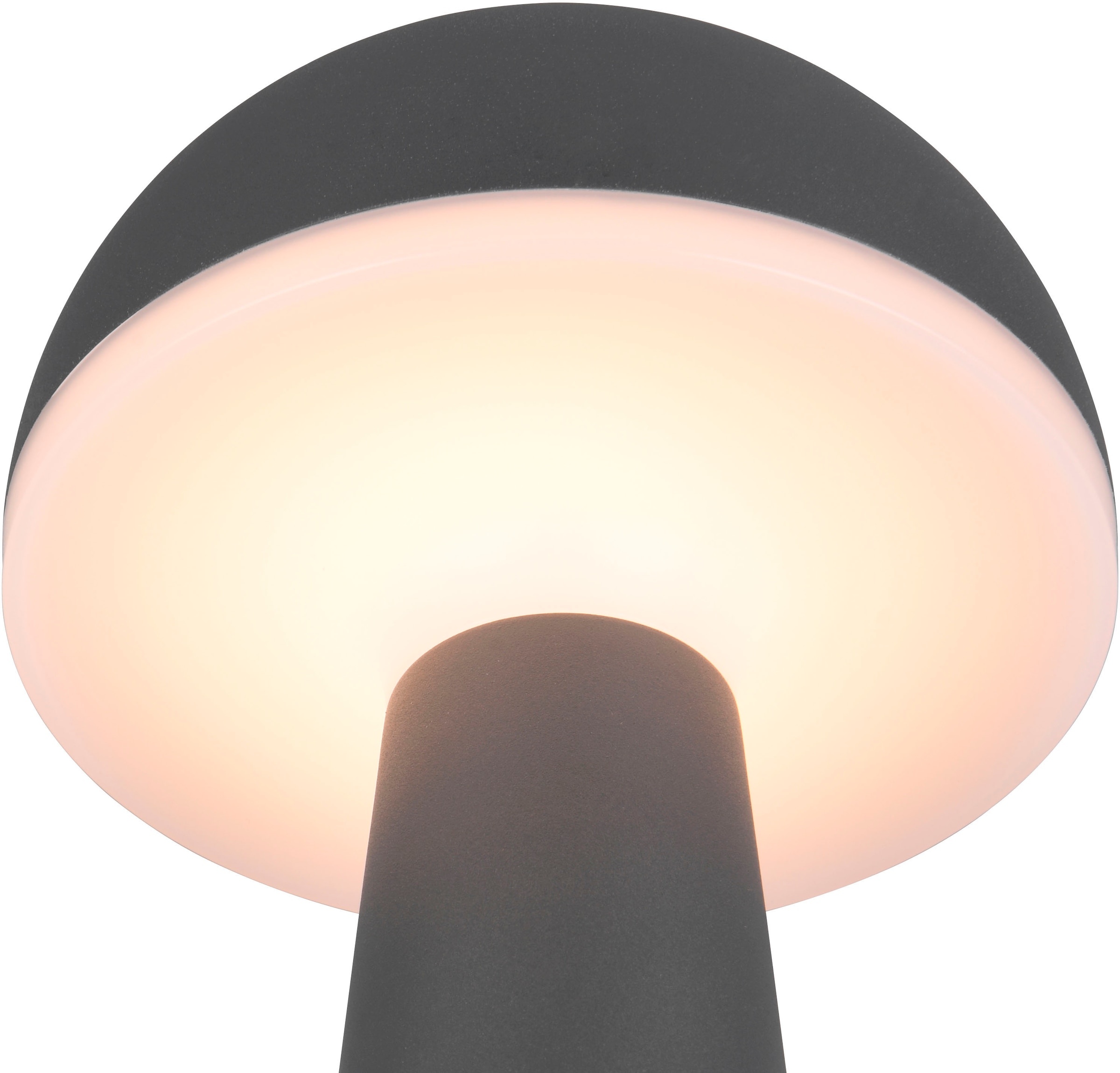 REALITY Leuchten LED Außen-Tischleuchte »FUNGO« LED-Board 1 Stk. warmweiß - kaltweiß Outdoor Akku Tischlampe inkl Ladestation USB-C, Lichtfarbe einstellbar