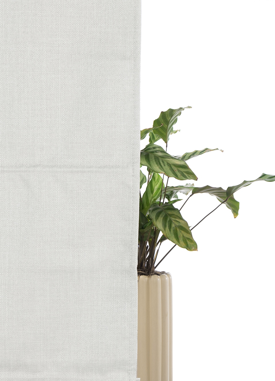my home Rollo »RIOLA«, verdunkelnd, Blendschutz-Sichtschutz-Verdunkelung, ohne Bohren, freihängend, Faltrollo in trendiger Leinenoptik NEUHEIT!