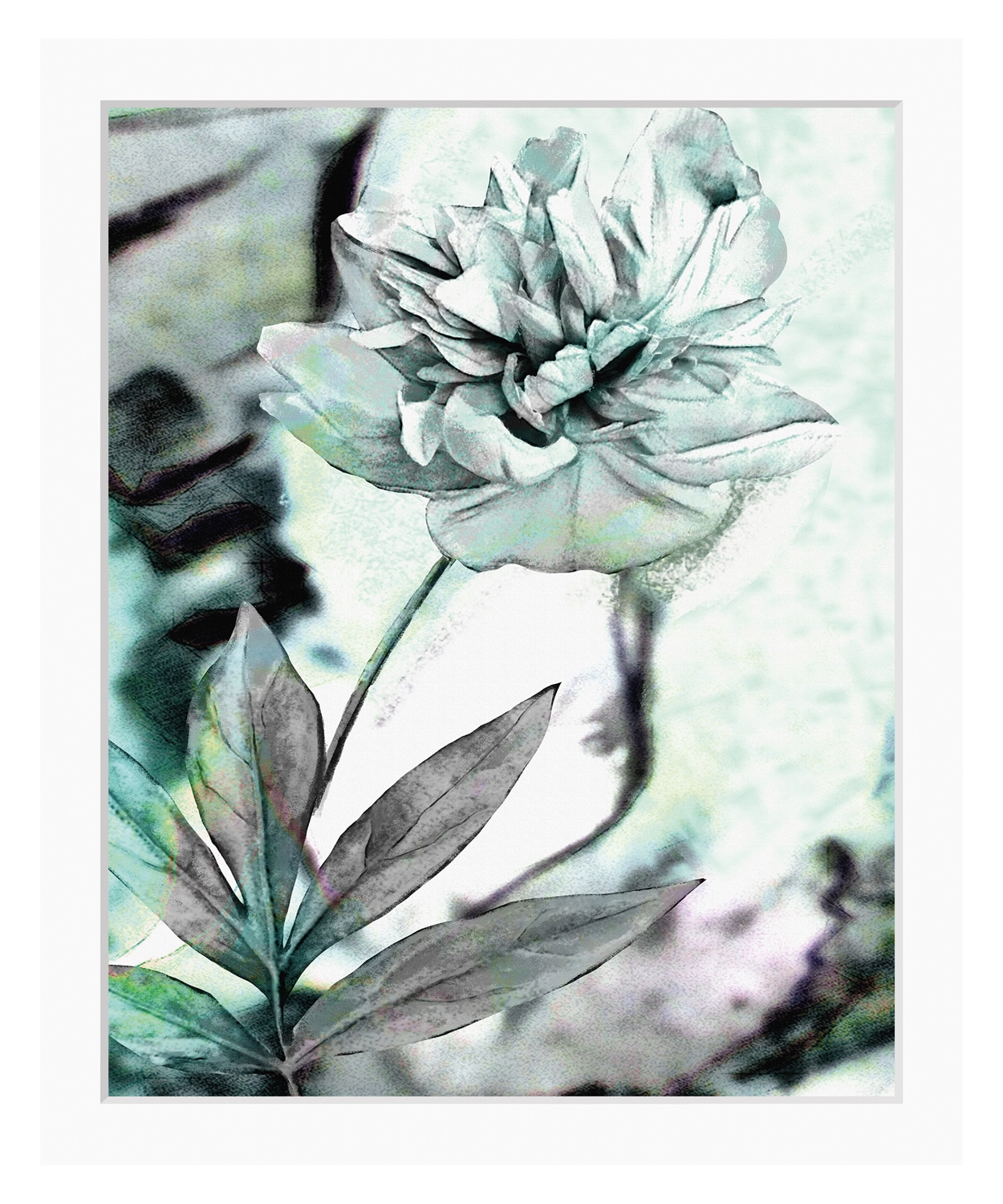 queence Bild »Christa«, Blumen, Rose, gerahmt