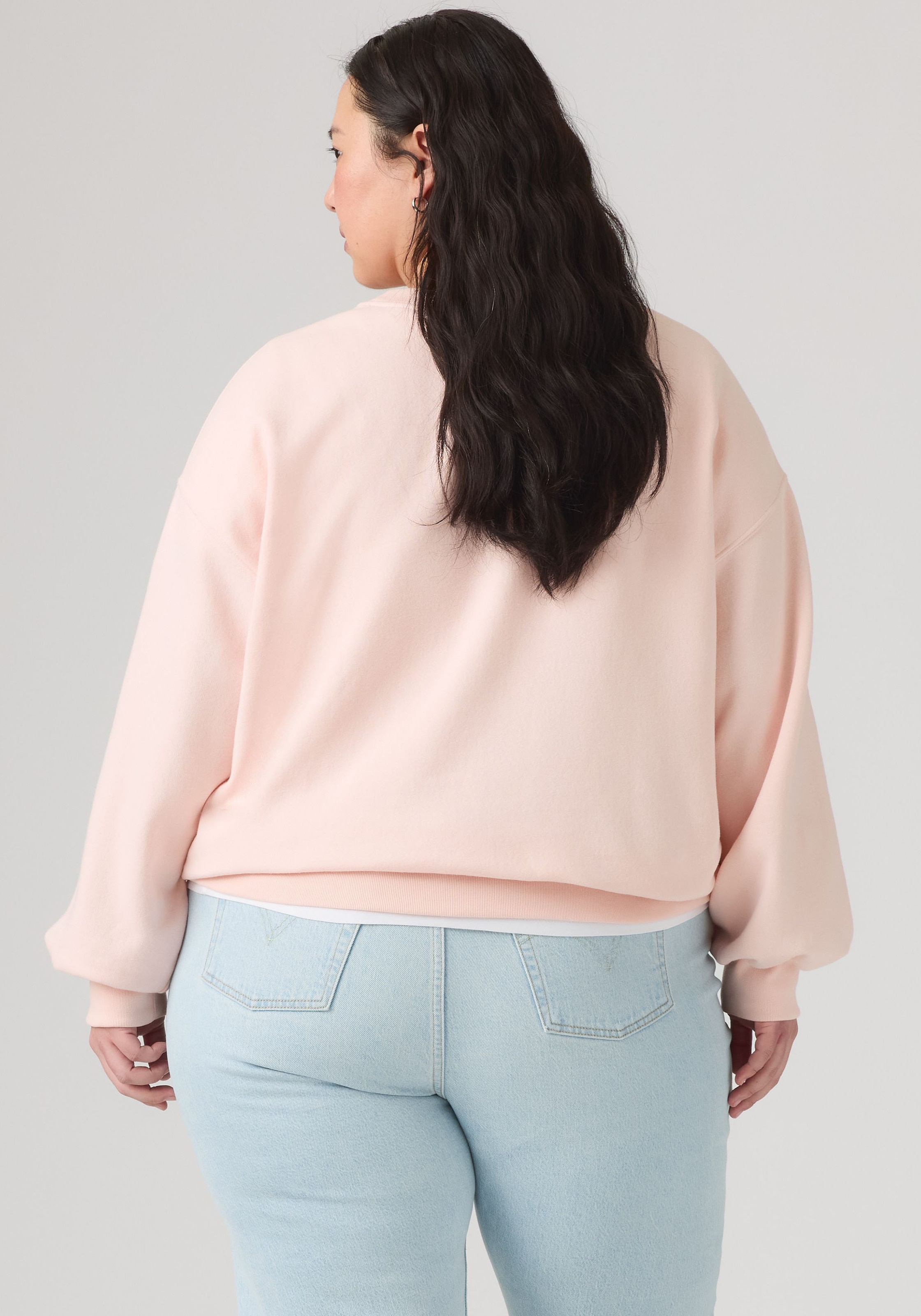 Levi's® Plus Sweatshirt »PL EVERYDAY CREW SWEATSHIRT«, Baumwollmix
