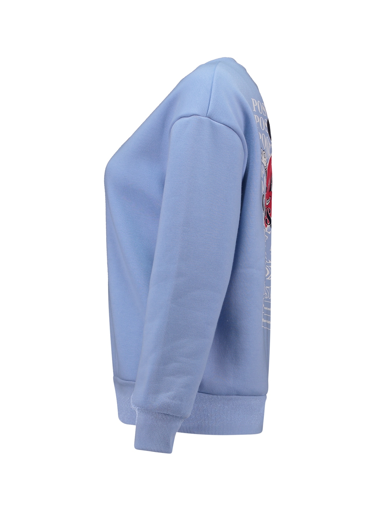 HaILY’S Sweatshirt »LS C SW Mi44lou«