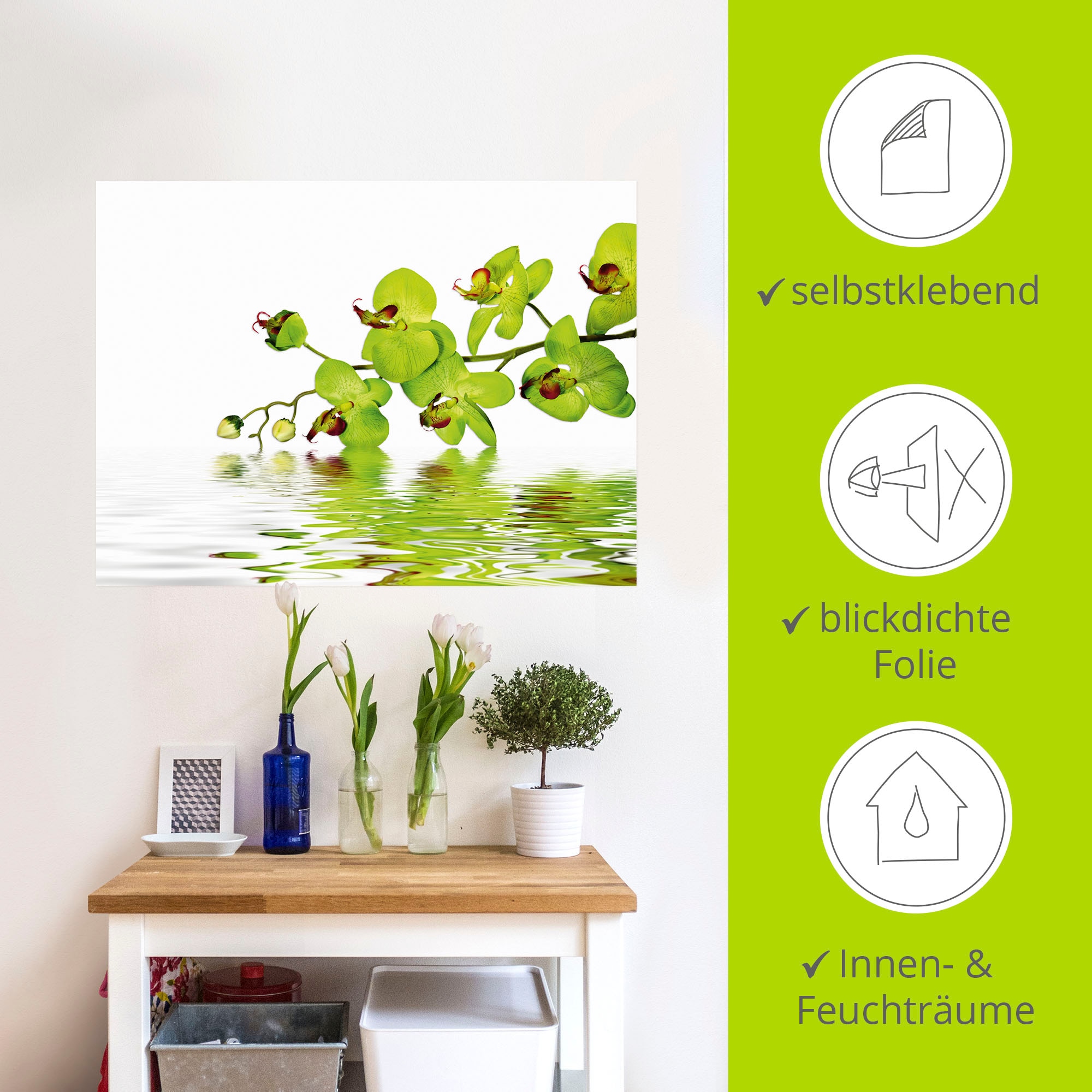 Artland Wandbild »Schöne Orchidee mit grünem Hintergrund«, Blumen, (1 St.), als Leinwandbild, Wandaufkleber in verschied. Größen