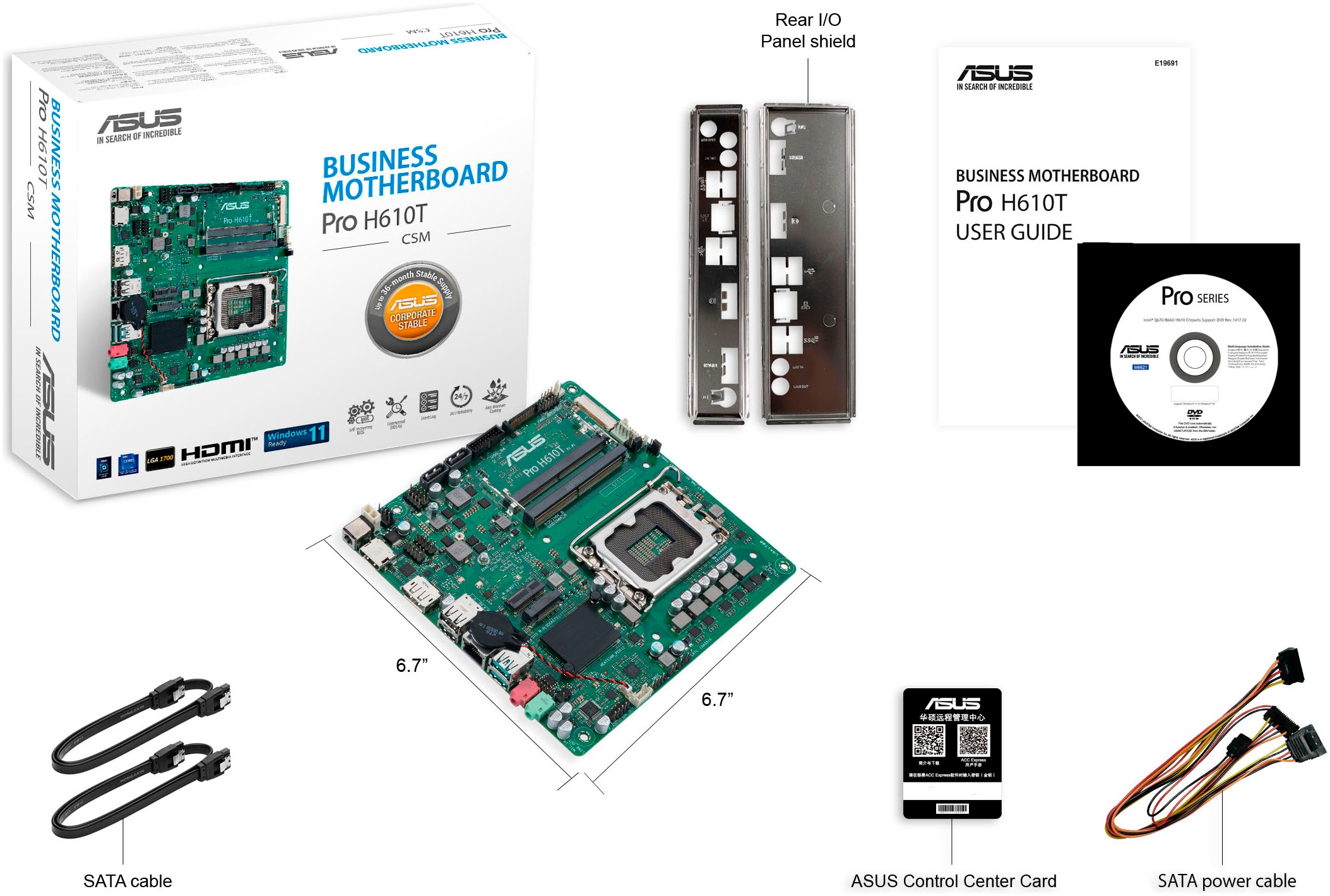 Asus Mainboard »PRO H610T-CSM«