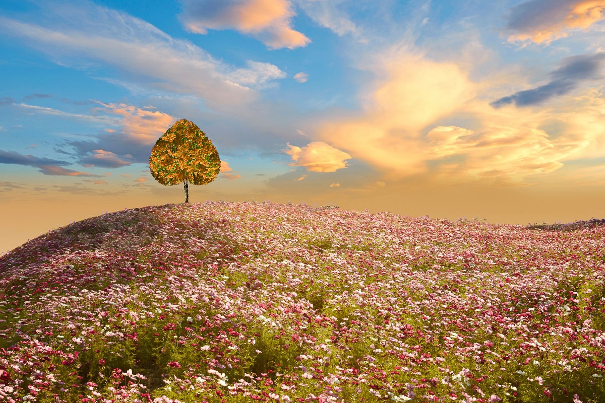 Papermoon, Fototapete »Herzbaumwiese«, bunt, Vlies, B/L: 4,5 m m x 2,8 m m - Bahnen: 9 Stk. St., bunt