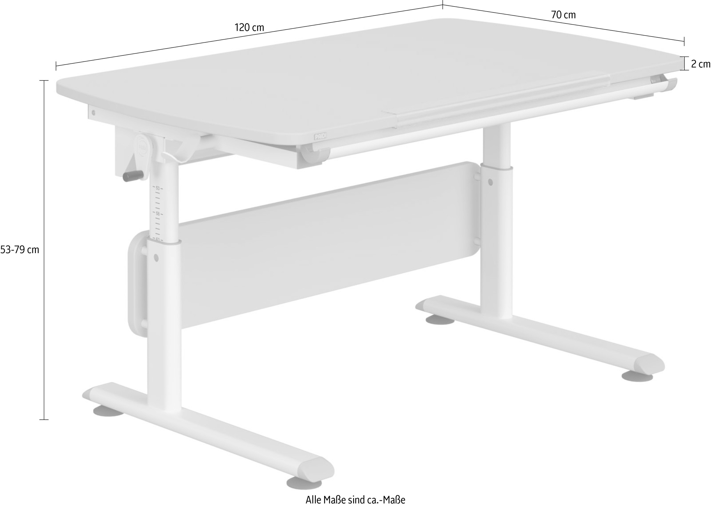 PAIDI Kinderschreibtisch »DIEGO CURVED, Schülerschreibtisch, mitwachsend, ergonomisch«, stufenlos höhenverstellbar, Tischplatte neigbar