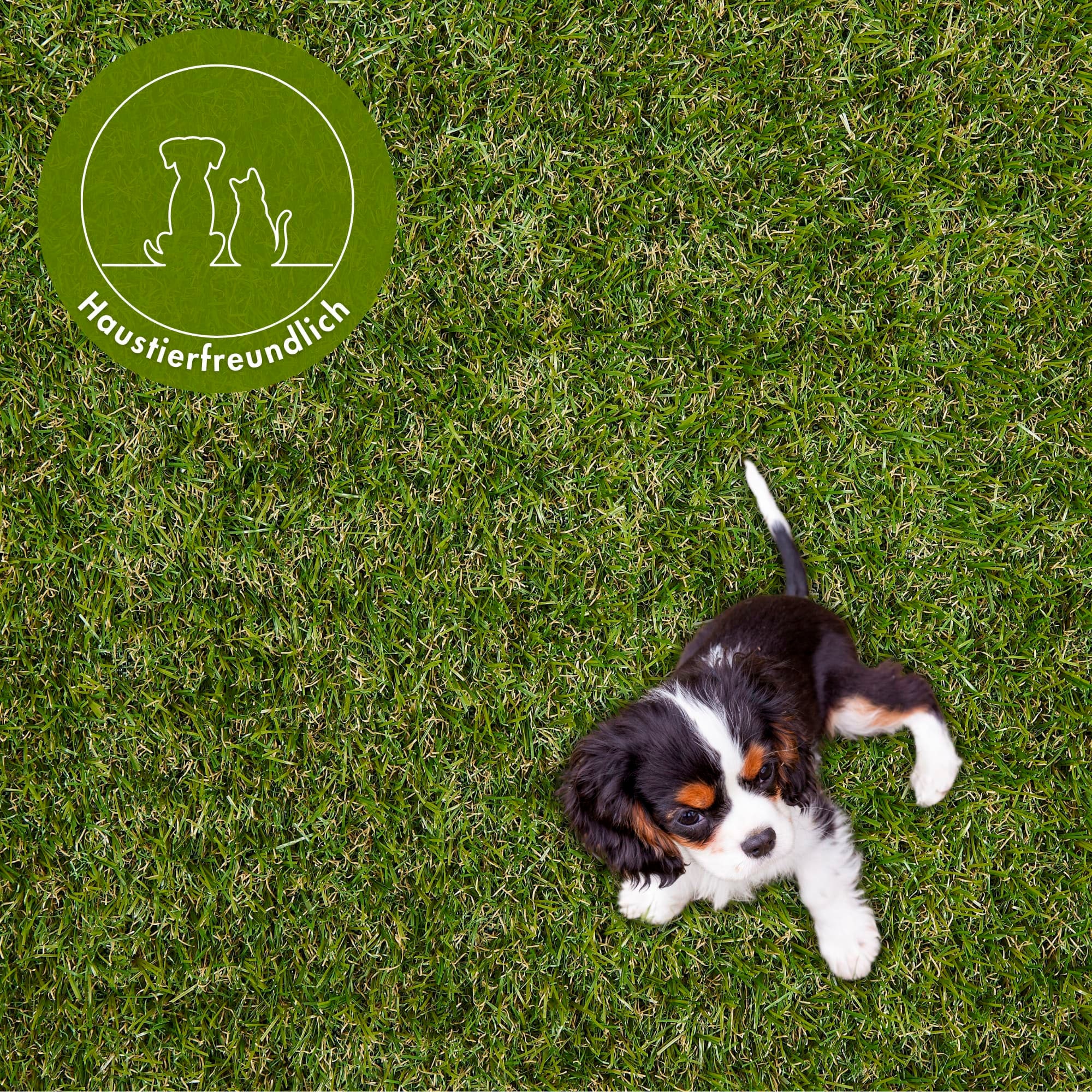 Andiamo Kunstrasen »Rasenteppich Jever« rechteckig 20 mm Höhe natürliche Optik, mit Drainagefunktion, für Balkon, Terrasse & Garten