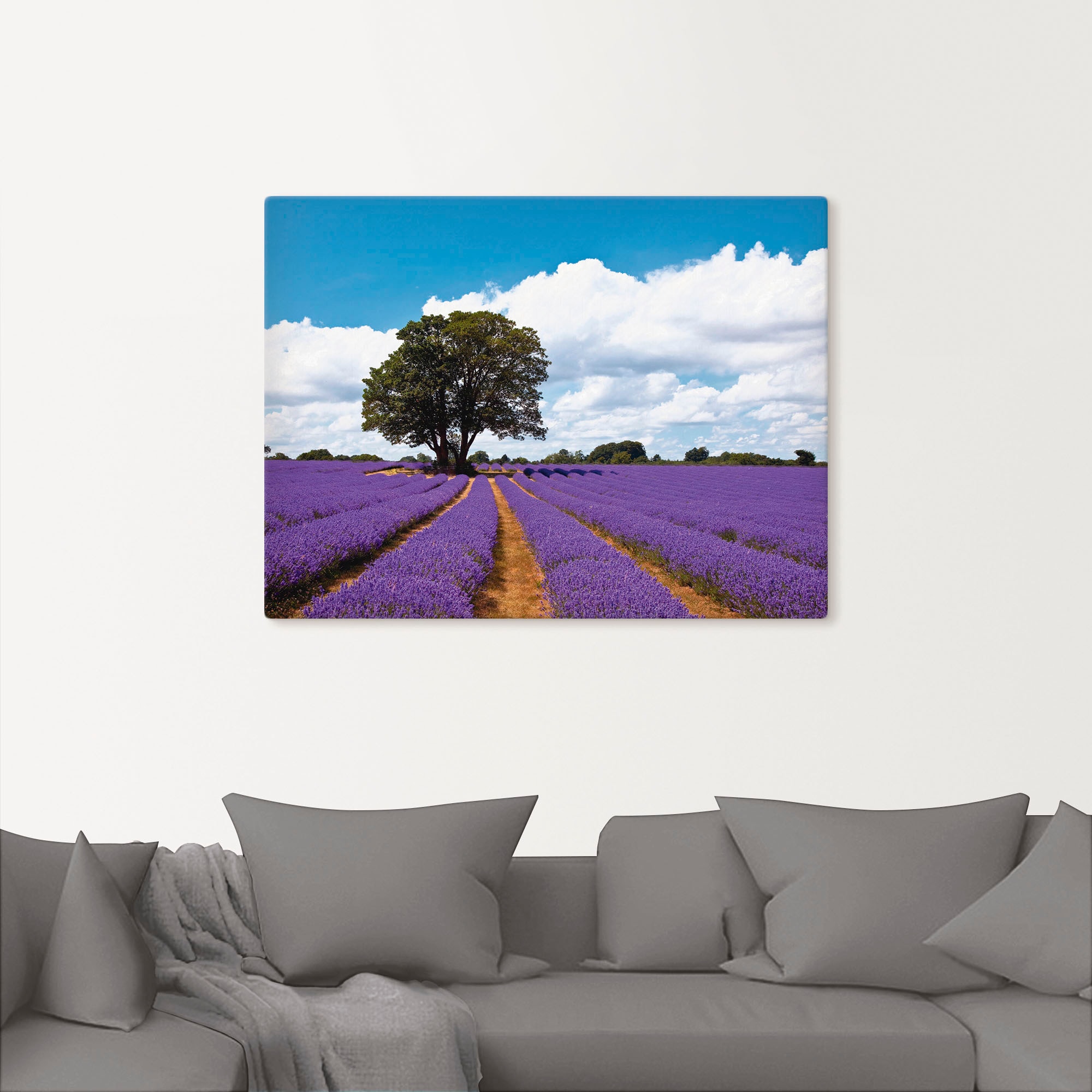 Artland Leinwandbild »Schönes Lavendelfeld im Sommer« Felder 1 Stk. tlg. auf Holzrahmen gespannt