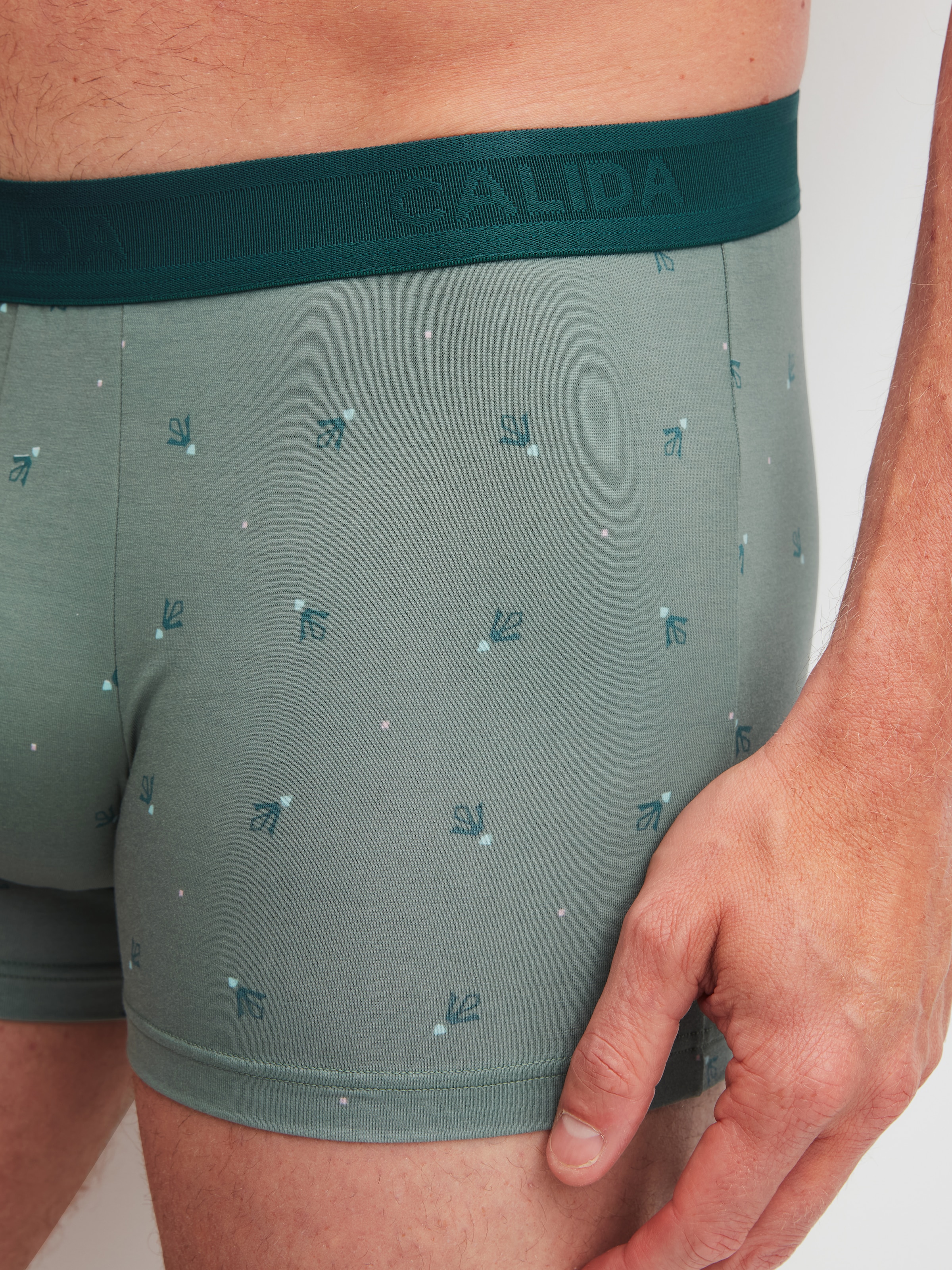 CALIDA Boxer »Grafic Cotton« ohne Eingriff, mit Softgummibund, Single-Jersey, elastisch