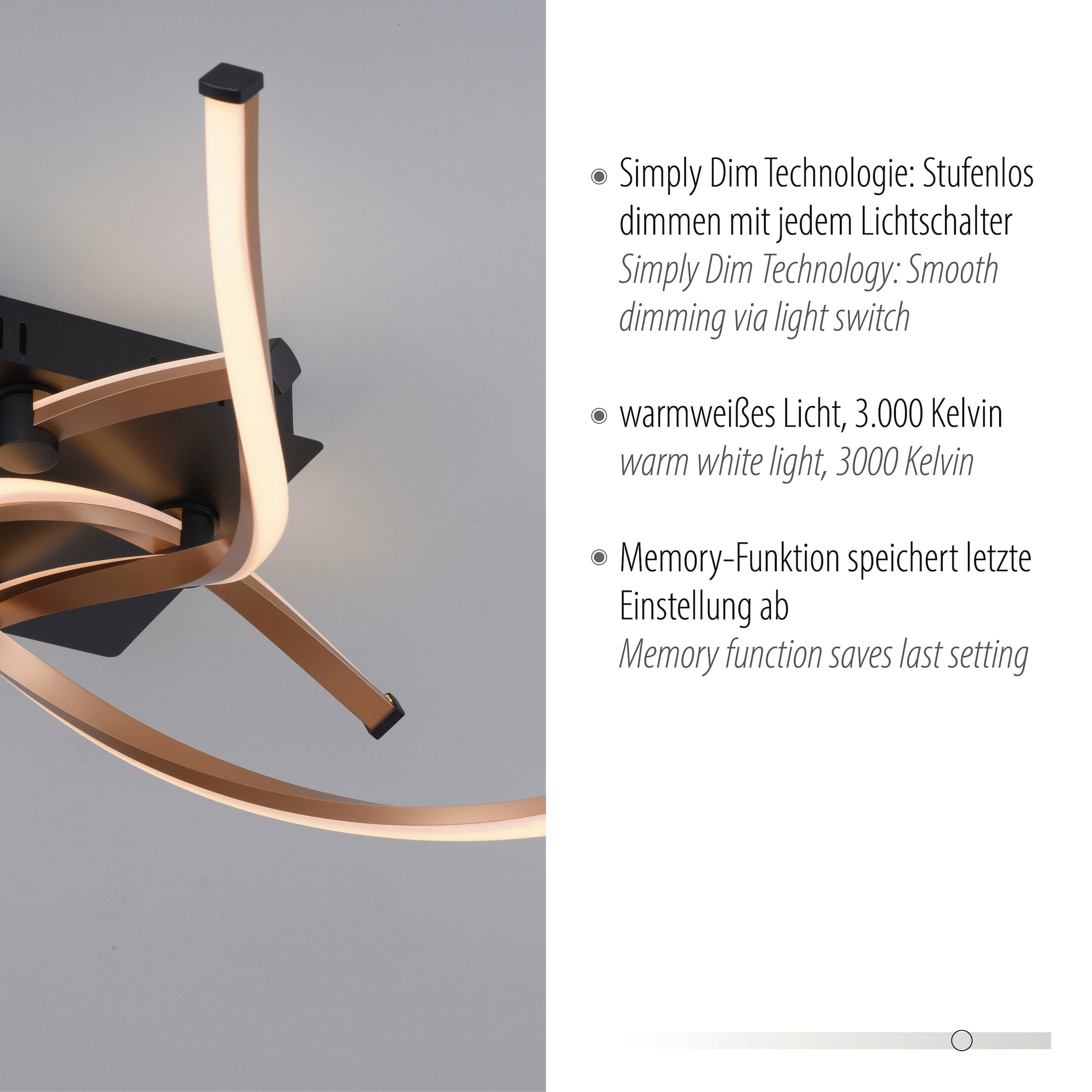 Paul Neuhaus Deckenleuchte »POLINA«, 4 flammig, Leuchtmittel LED-Board | LED fest integriert, LED, Simply Dim
