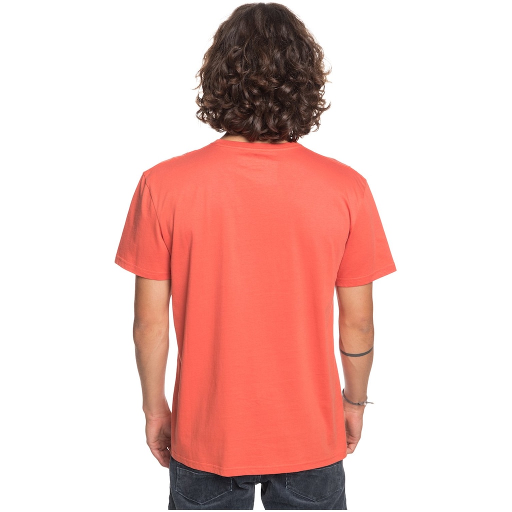 Quiksilver T-Shirt »Tropical Lines«