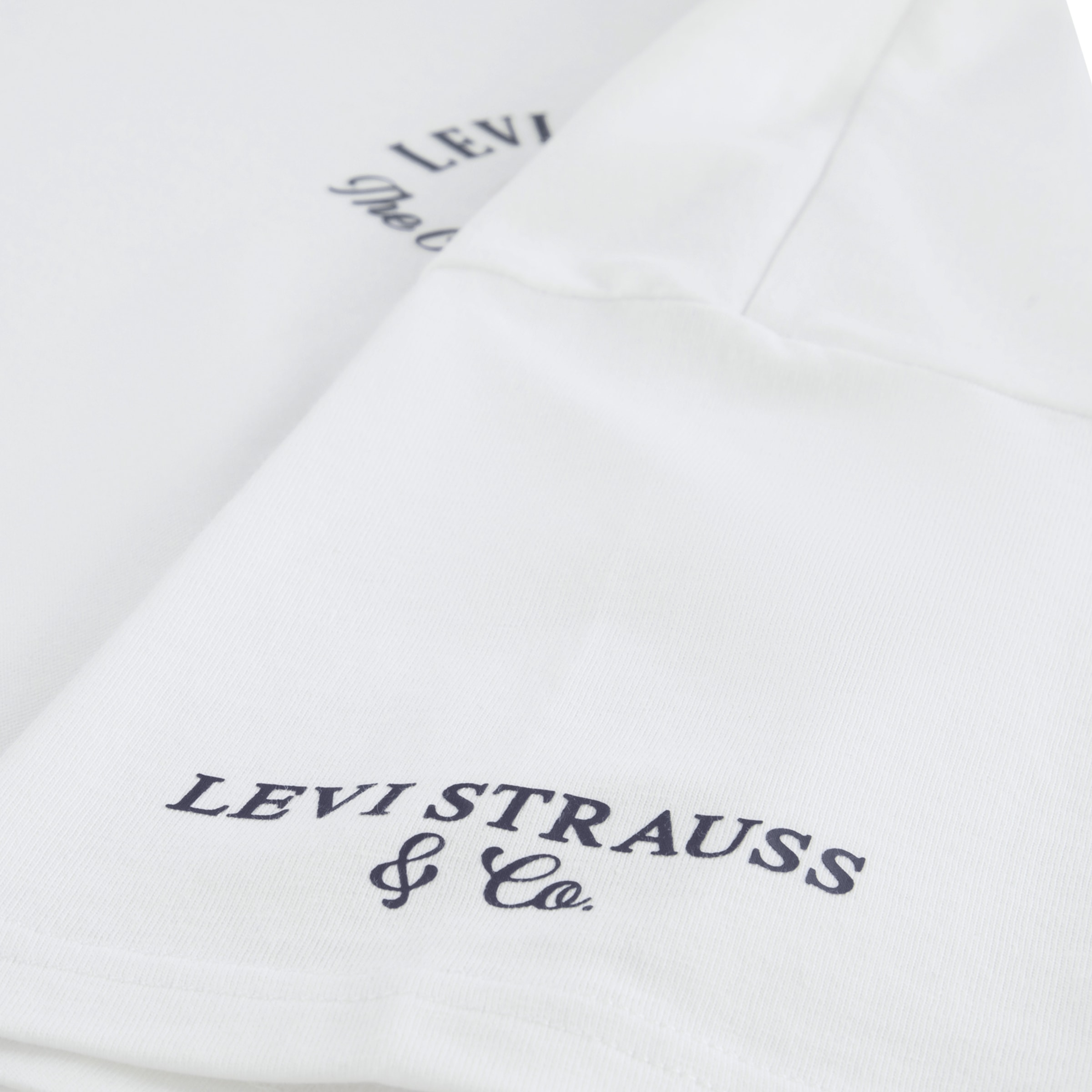 Levi's® Kids T-Shirt »LVB URBAN PREP TEE« for Boys, mit Stickerei und Print