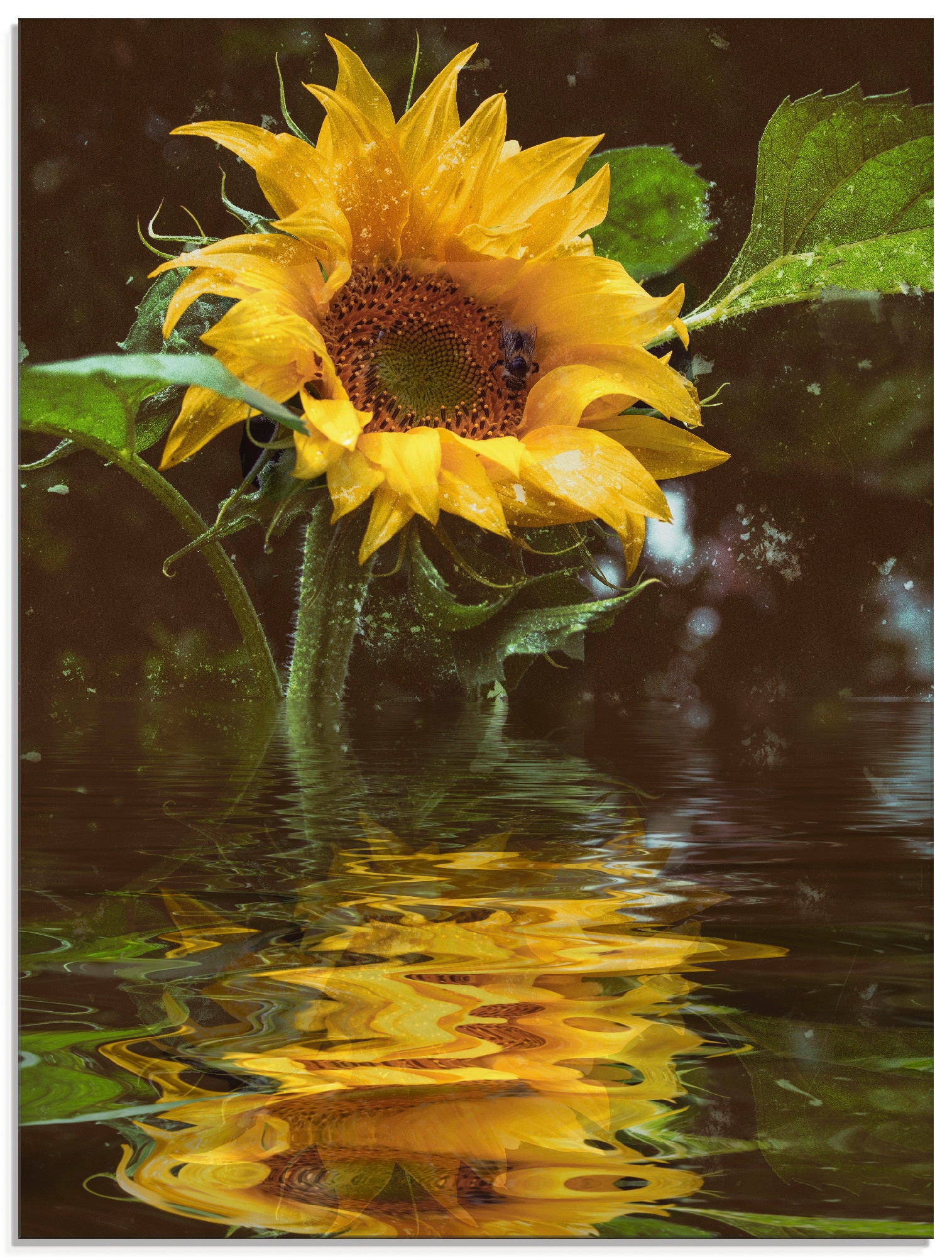 »Sonnenblume Größen auf verschiedenen St.), Artland in mit Glasbild Rechnung kaufen Blumen, Wasserspiegelung«, (1