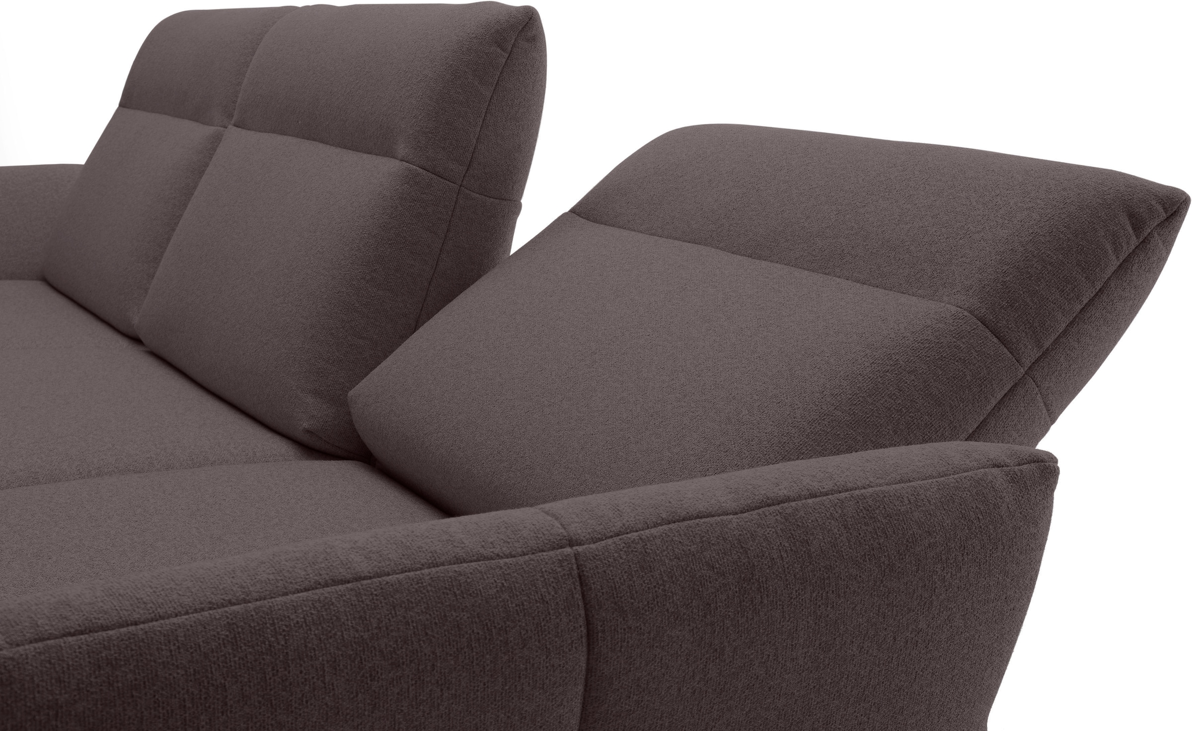 Creation BY ROLF BENZ Ecksofa »CR.460«, Sockel in Eiche, Alugussfüße in umbragrau, Breite 298 cm