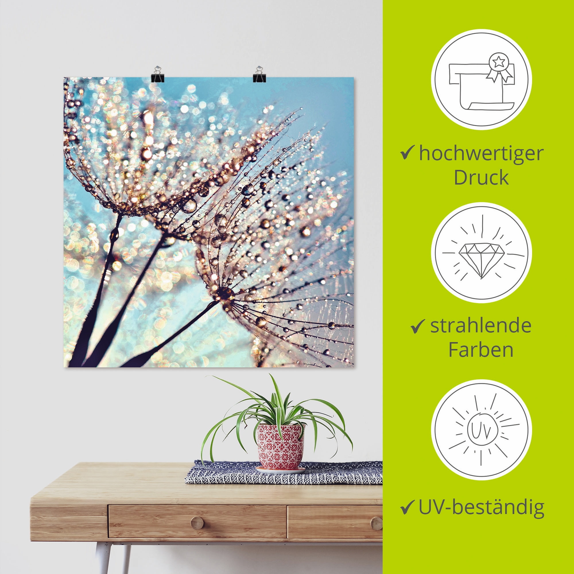 Artland Wandbild »Pusteblume Tröpfchenfänger«, Blumen, (1 St.), als Alubild, Outdoorbild, Leinwandbild, Poster in verschied. Größen