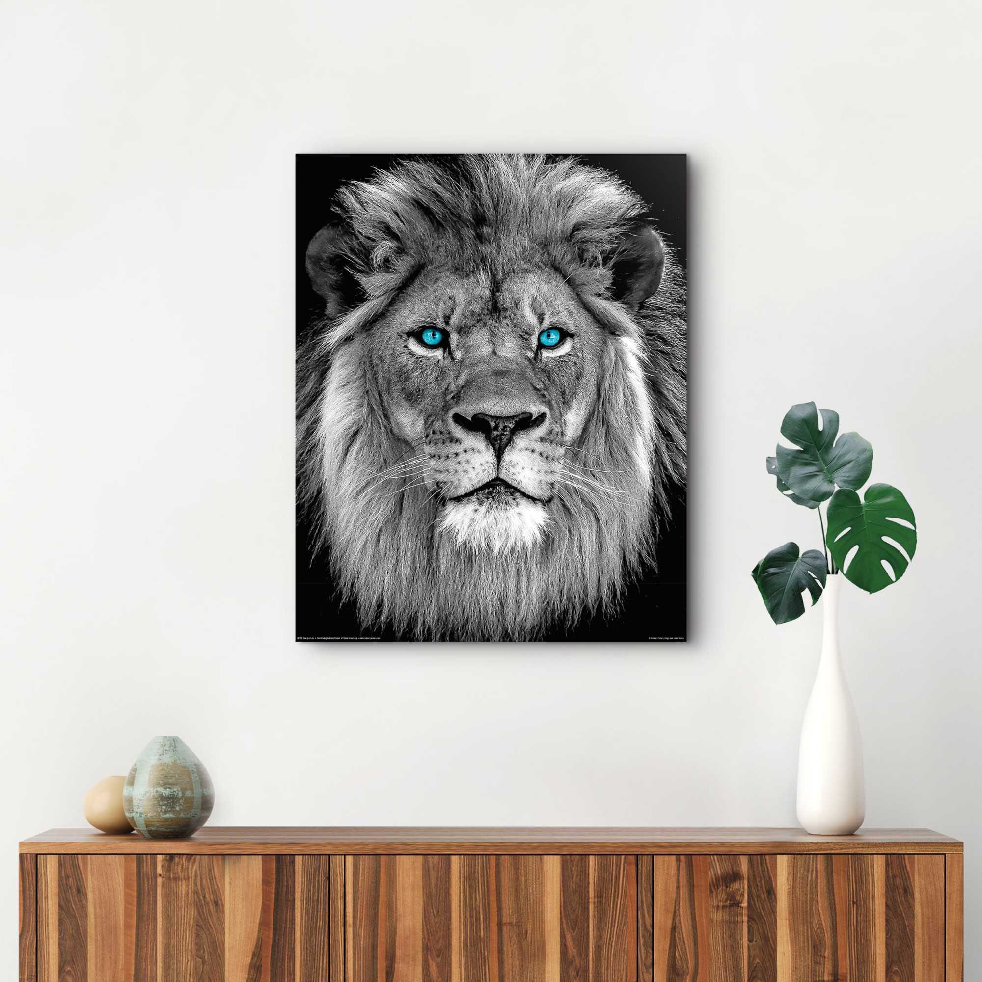 Reinders! Wandbild »Löwe mit blaue bestellen Augen« bequem