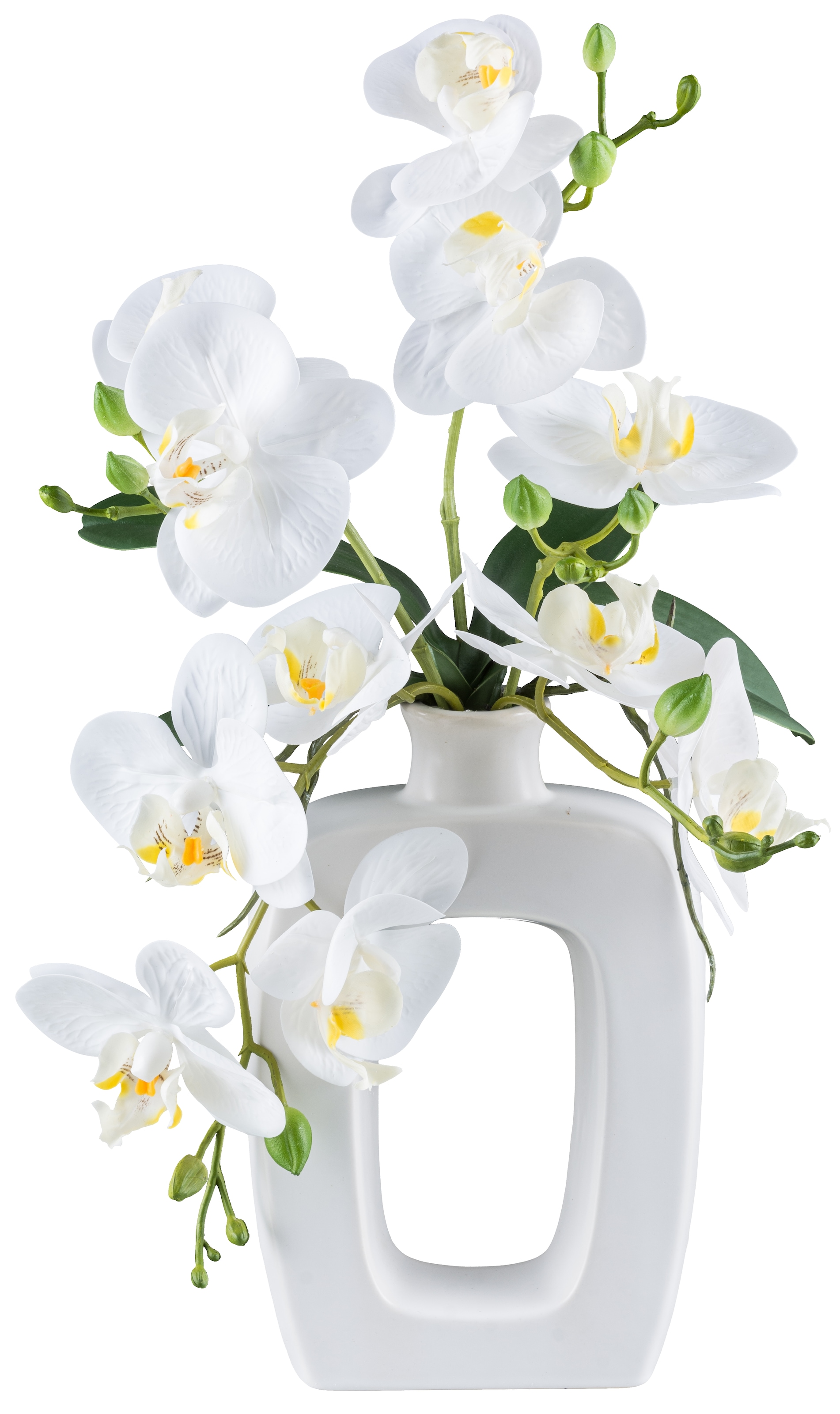 my home Kunstorchidee »Orchidee Phalaenopsis«, mit real-touch-Blüten