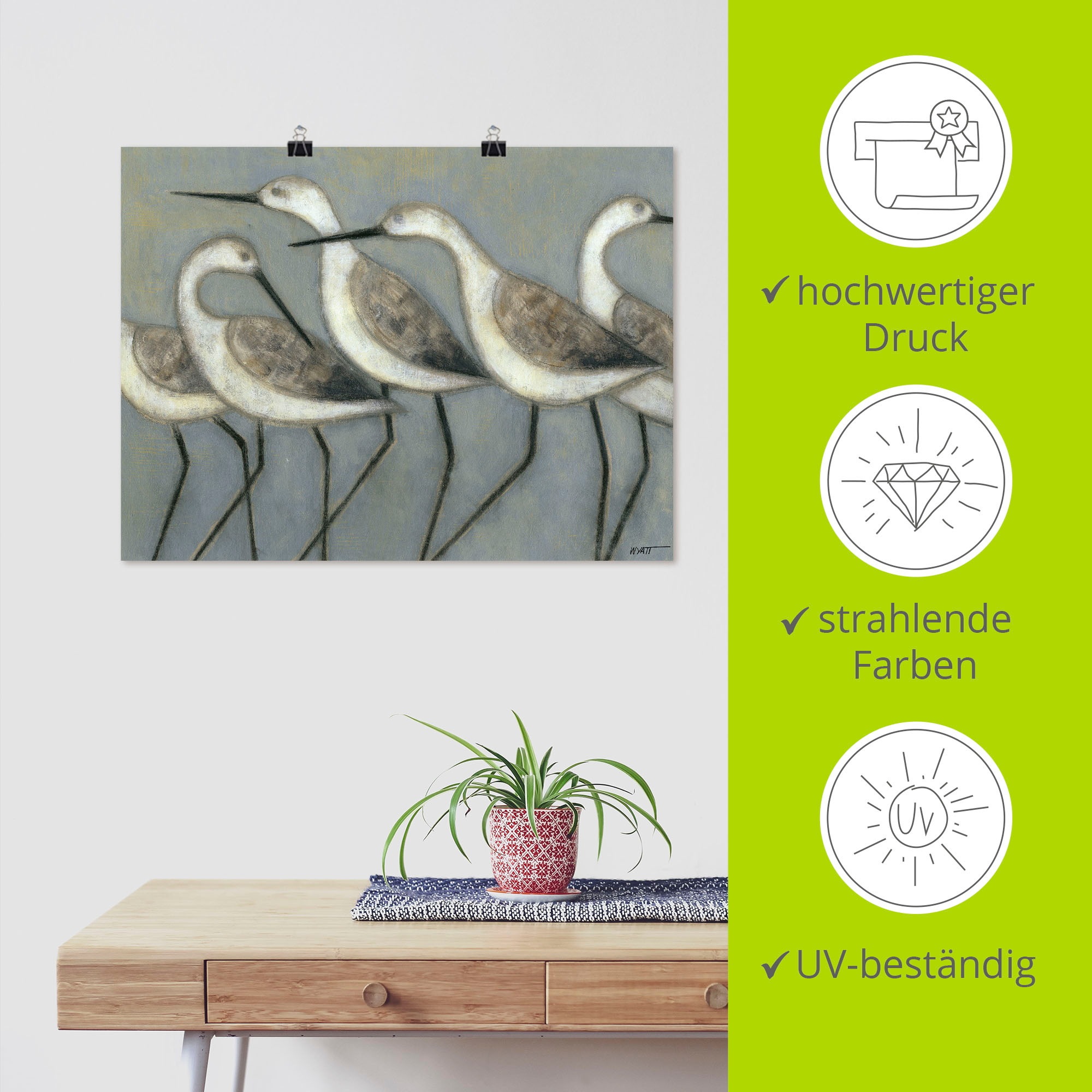 Artland Wandbild »Küstenvögel I« Vögel 1 Stk. tlg. als Leinwandbild, Poster in verschied. Größen