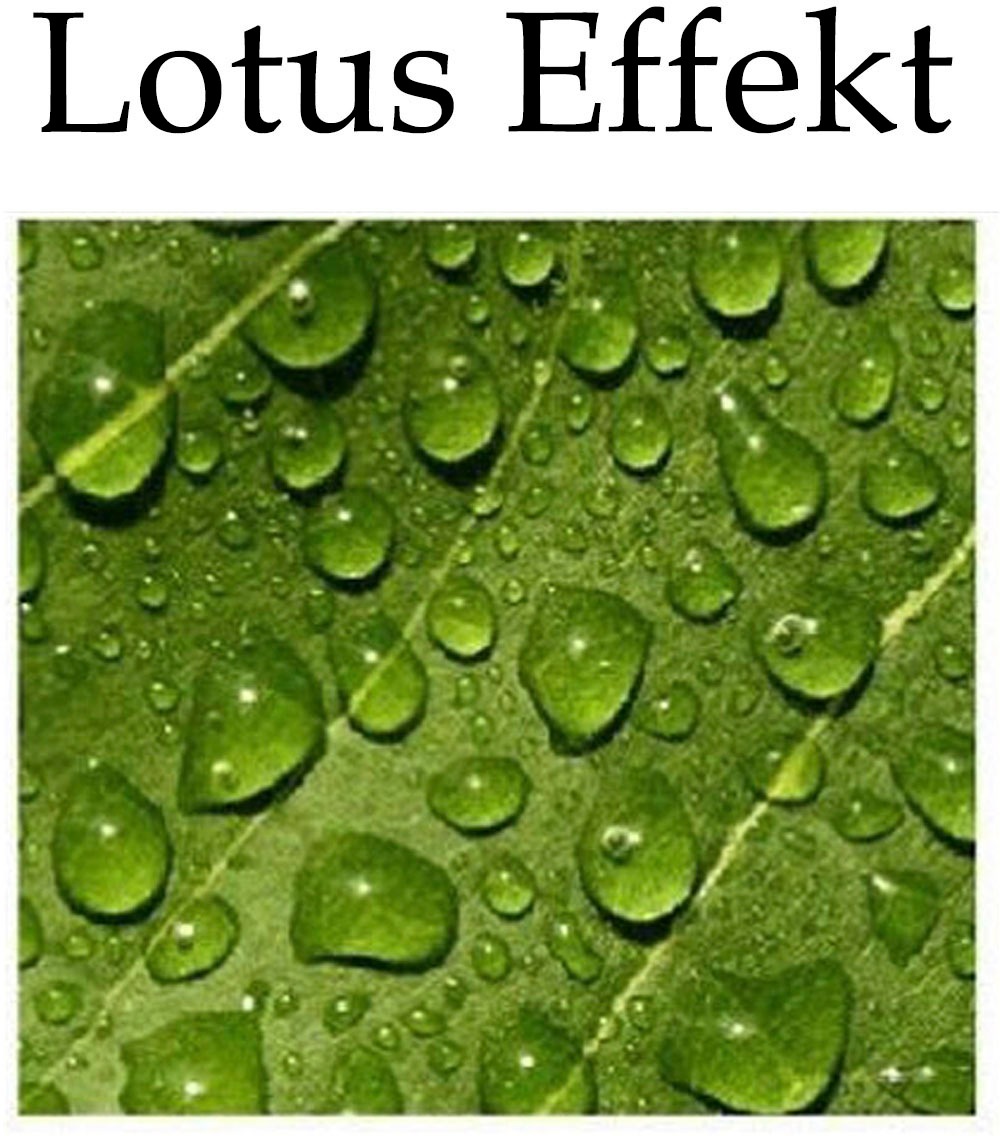 Weckbrodt Kissenhülle »Blumenwiese« Lotus-Effekt, Garten, Blumen, Kissen