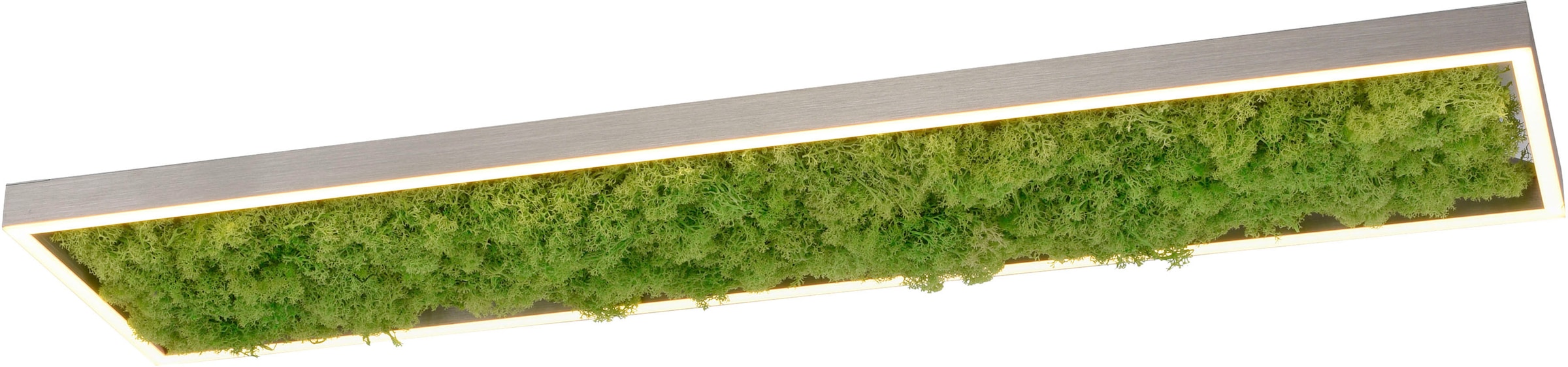 JUST LIGHT Deckenleuchte »GREEN KNUT«, 1 flammig, Leuchtmittel LED-Board | LED fest integriert