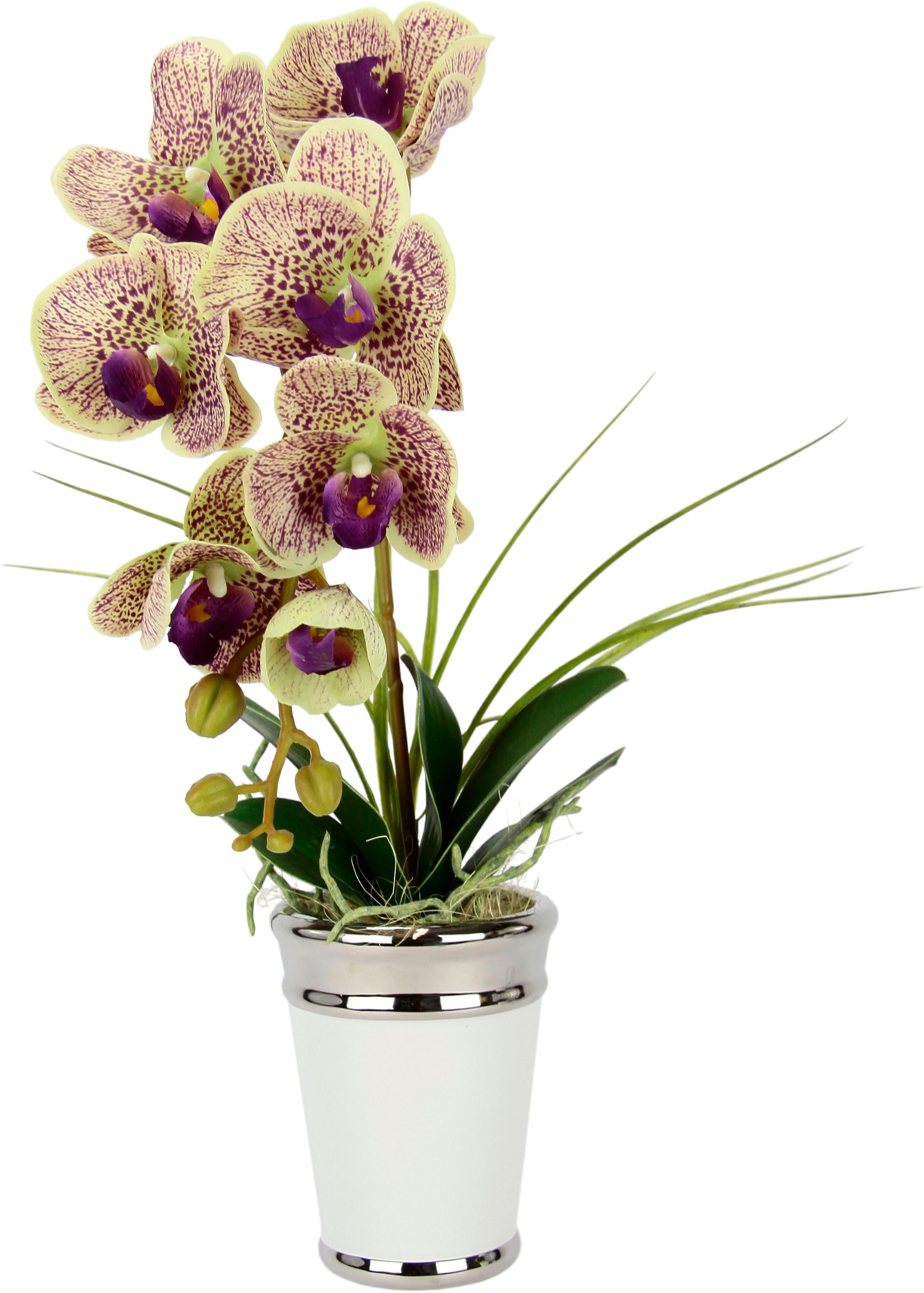 I.GE.A. Kunstblume »Orchidee«, im Topf, kaufen Keramik, bequem Seidenblume aus Touch Real