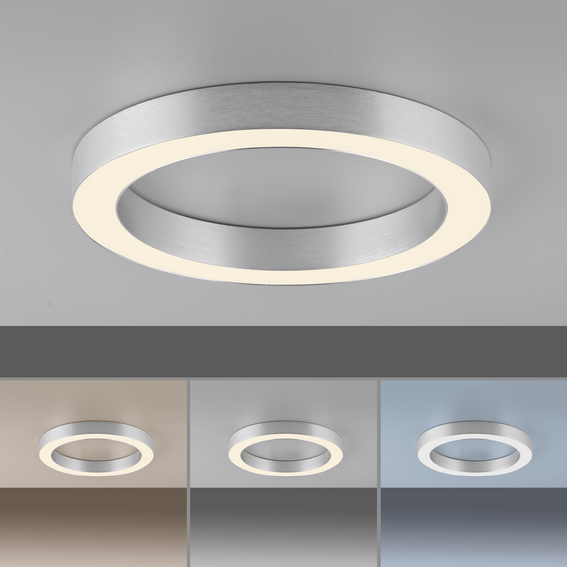 Neuhaus PURE LED Deckenleuchte »PURE Lines Round« LED-Board 1 Stk. warmweiß - kaltweiß Stufenlos dimmbar über Fernbedienung, CCT