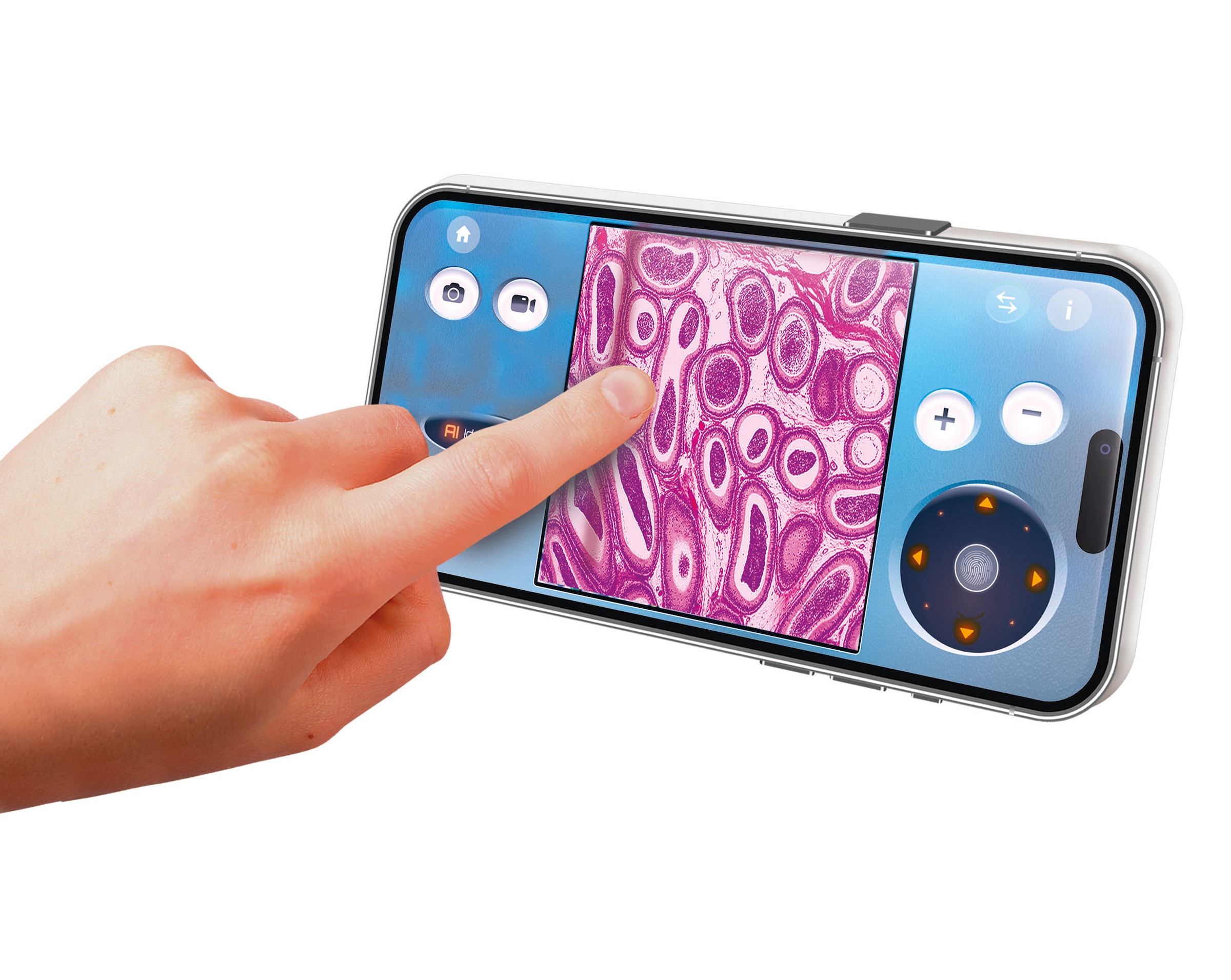 Clementoni® Experimentierkasten »Galileo Lab, Mein digitales Mikroskop« mit Wi-Fi-Kamera und 2 Lichtern