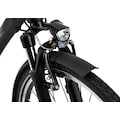 Adore E-Bike »Versailles«, 7 Gang, Shimano, Tourney, Heckmotor 250 W