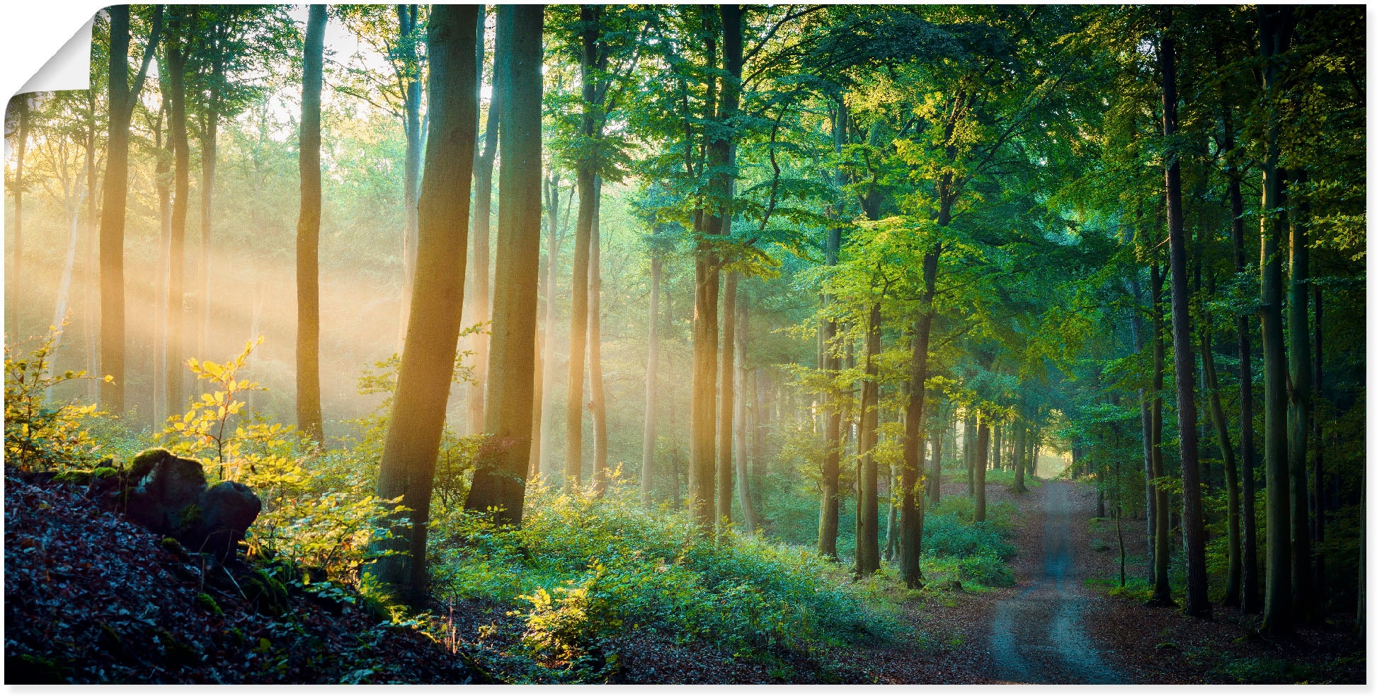 bestellen Größen bequem Leinwandbild, »Herbstmorgen Alubild, im oder Waldbilder, St.), als Artland Wald«, (1 in Wandbild versch. Poster Wandaufkleber