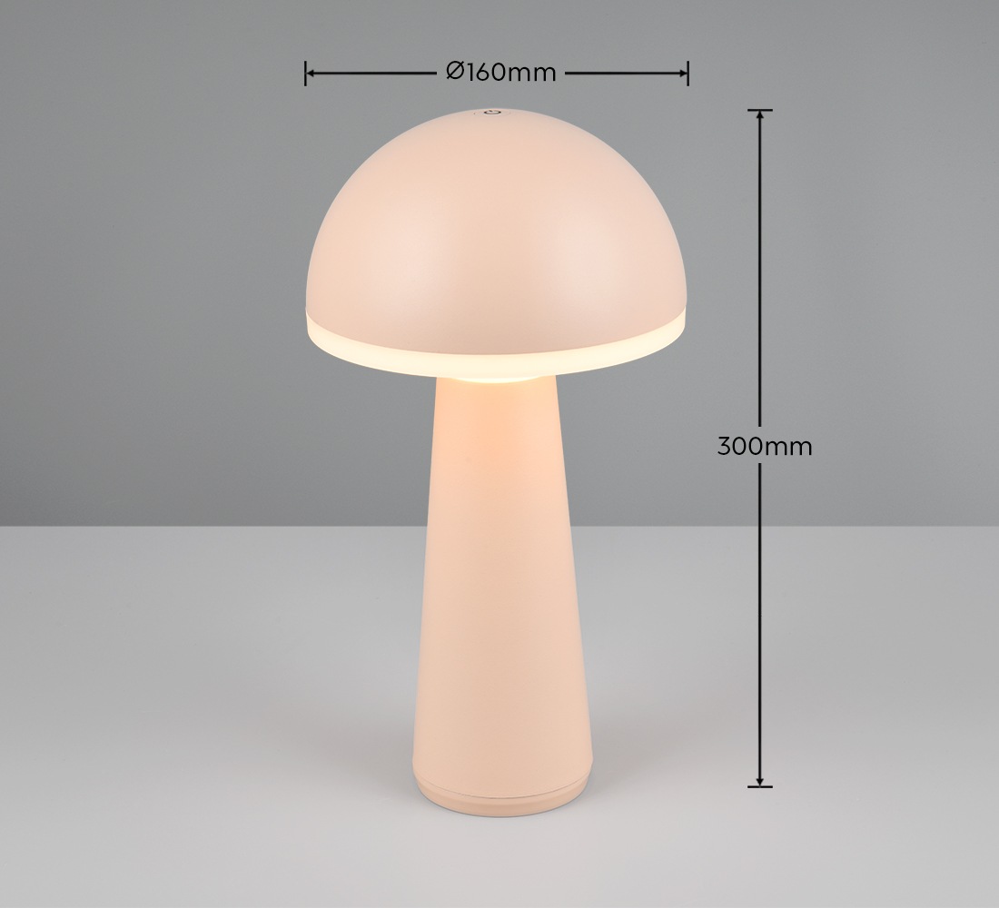 REALITY Leuchten LED Außen-Tischleuchte »FUNGO«, 1 flammig, Leuchtmittel LED-Board | LED fest integriert, Outdoor Akku Tischlampe inkl Ladestation USB-C, Lichtfarbe einstellbar