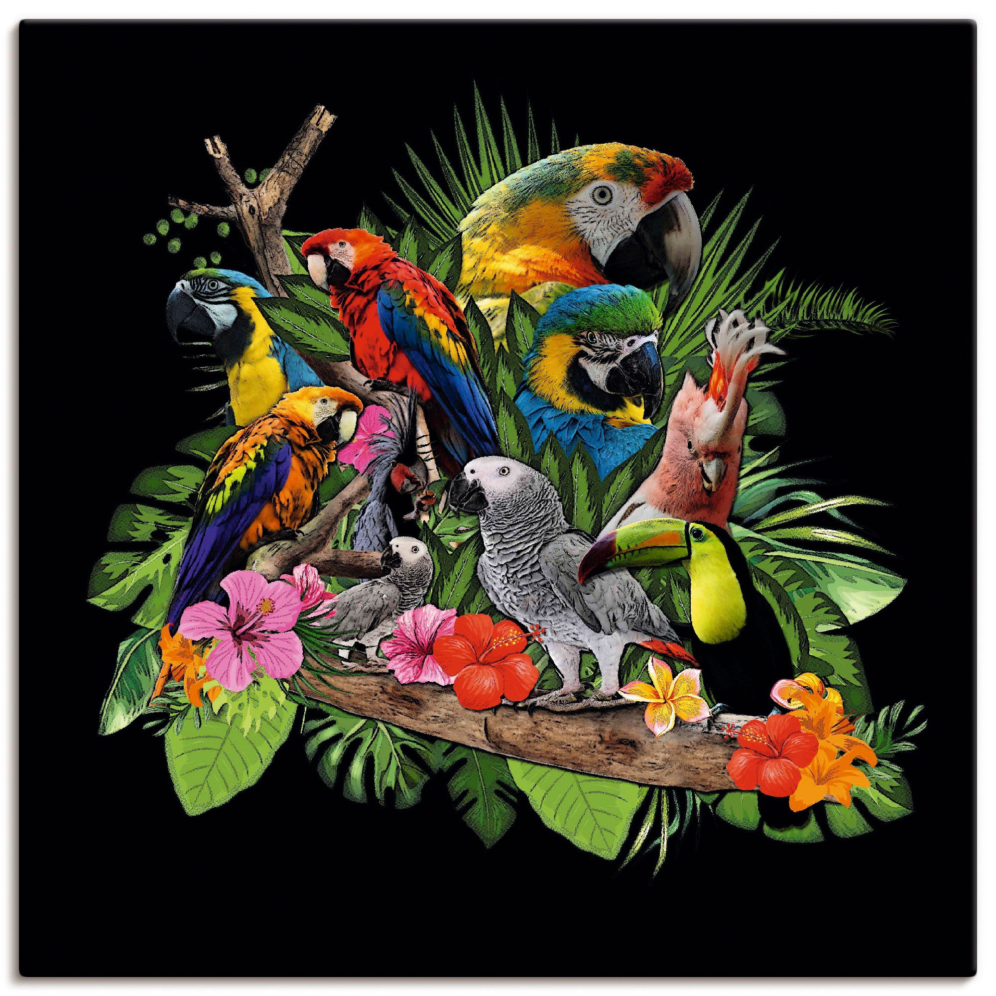 Artland Wandbild »Papageien Graupapagei Kakadu Dschungel«, Vögel, (1 St.), als Alubild, Outdoorbild, Leinwandbild, Poster, Wandaufkleber