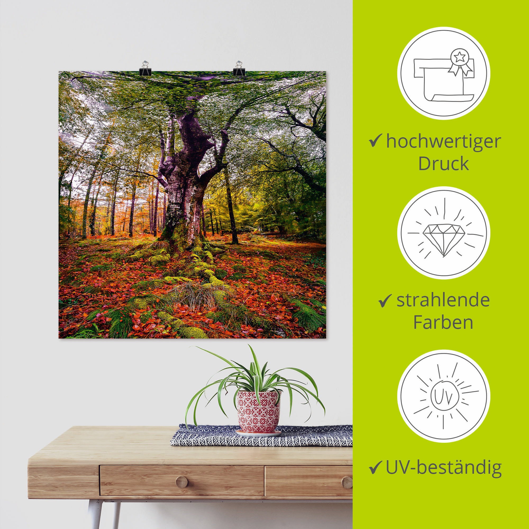 Artland Wandbild »Baum im Wald«, Baumbilder, (1 St.), als Leinwandbild, Poster in verschied. Größen