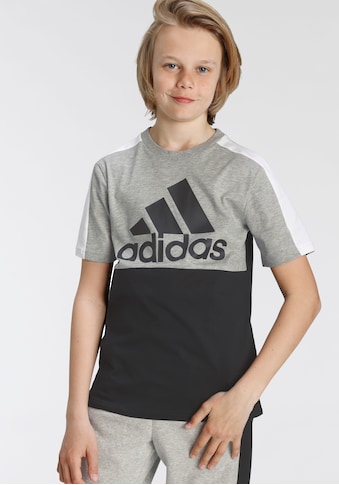 adidas Performance T-Shirt »COLORBLOCK LOGO TEE« kaufen