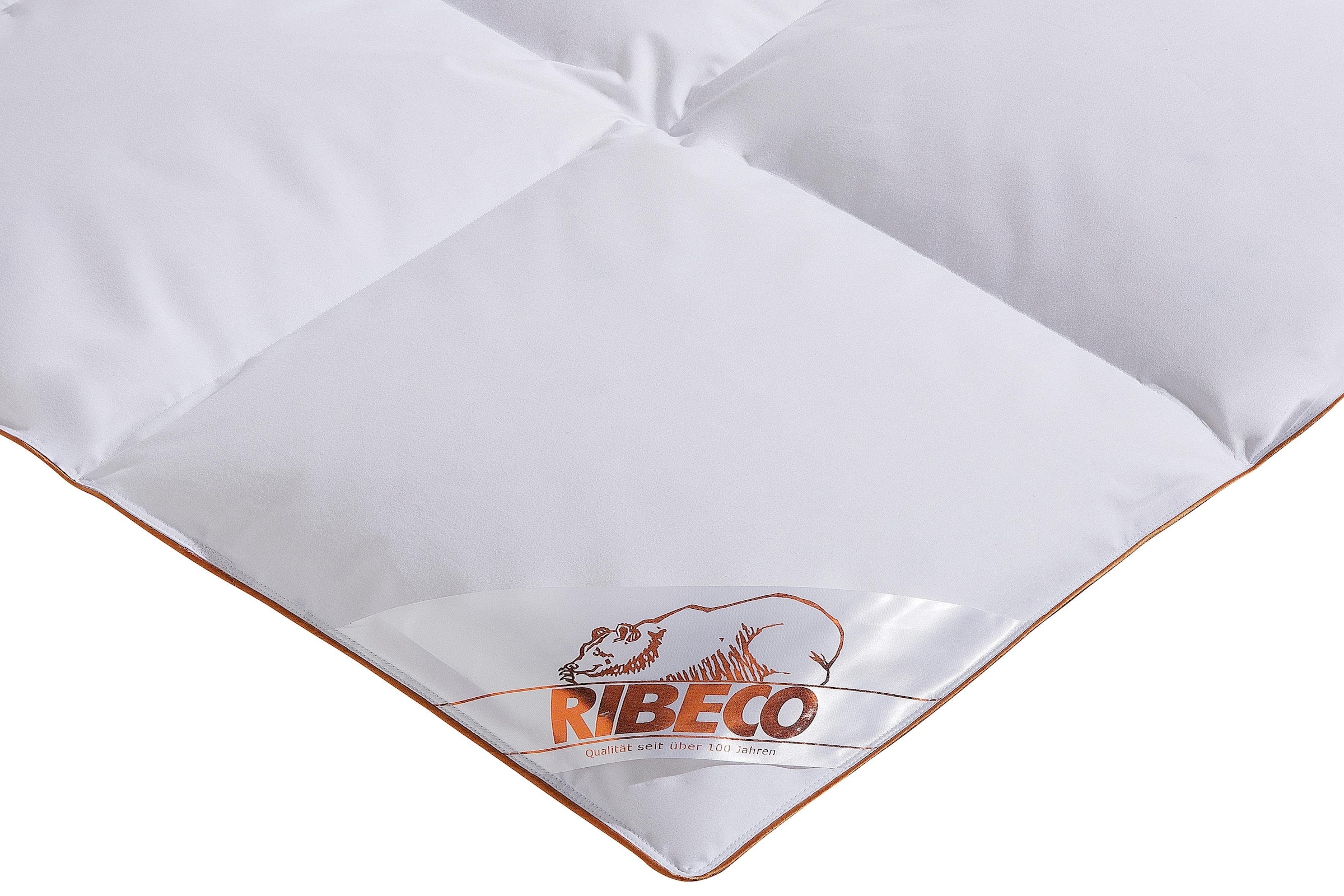 RIBECO Gänsedaunenbettdecke + Kopfkissen »Kalle«, pflegeleicht!
