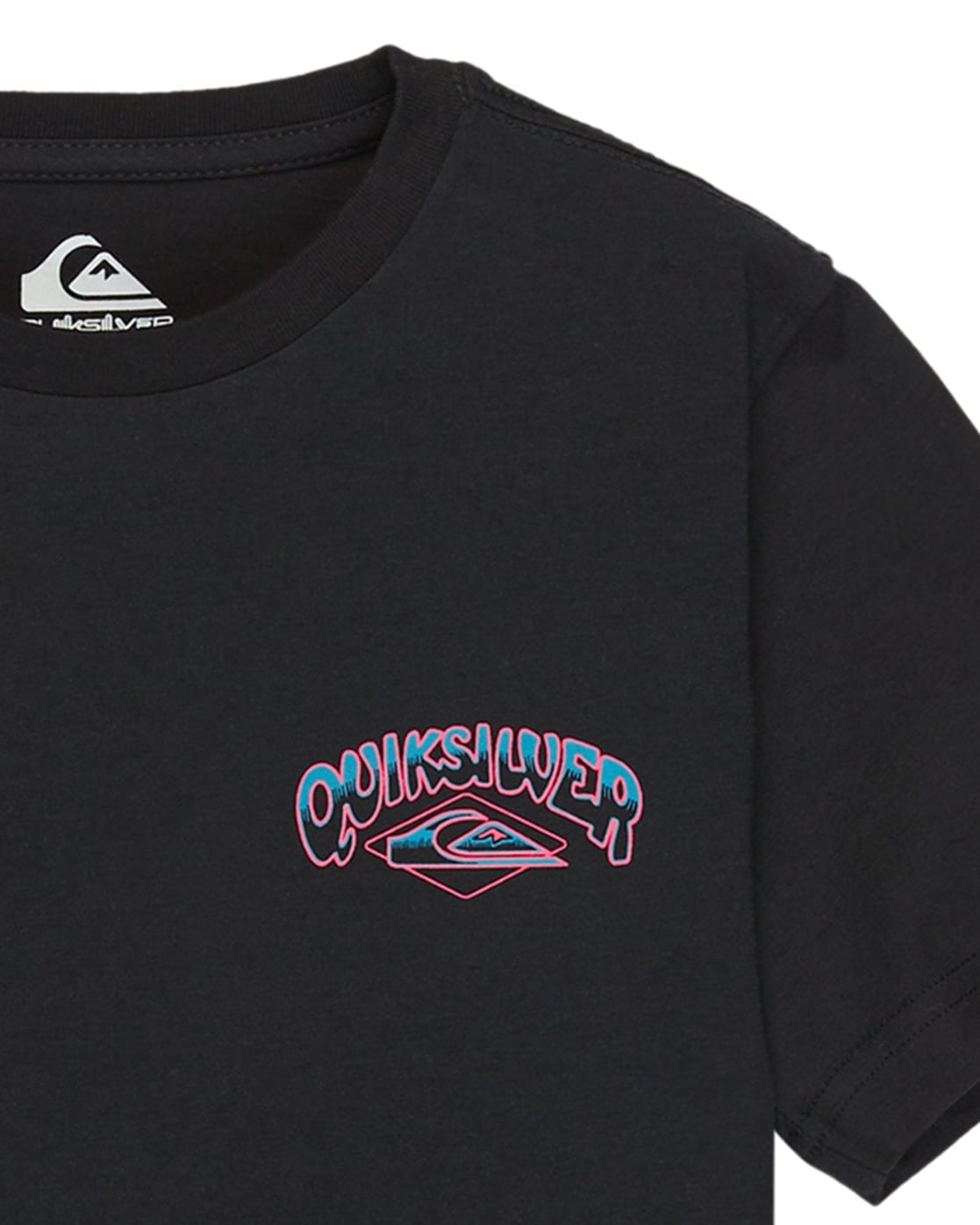 Quiksilver T-Shirt »Palm Horizon«